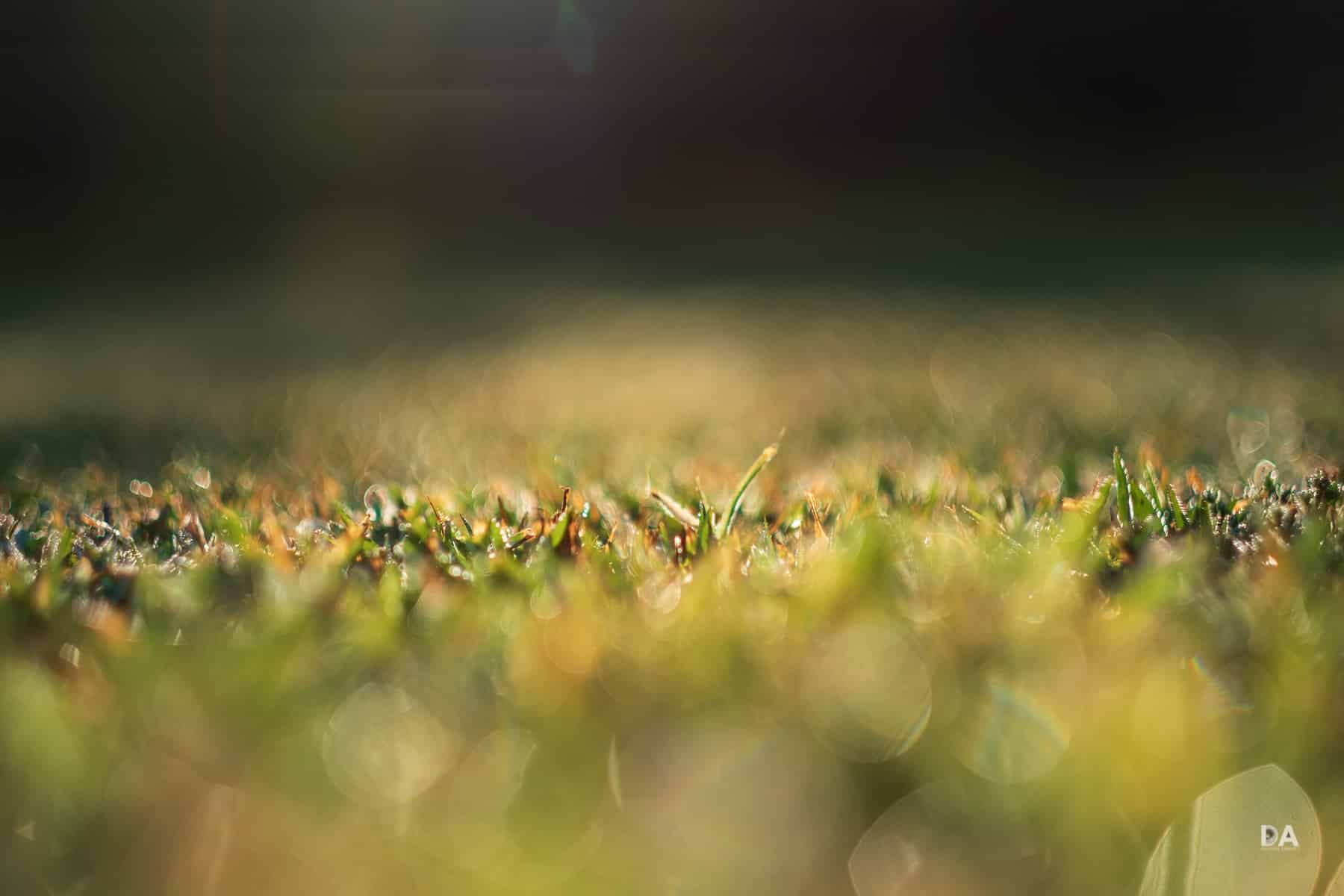 Ong kinh Fujifilm XF 56mm F1.2 R 08