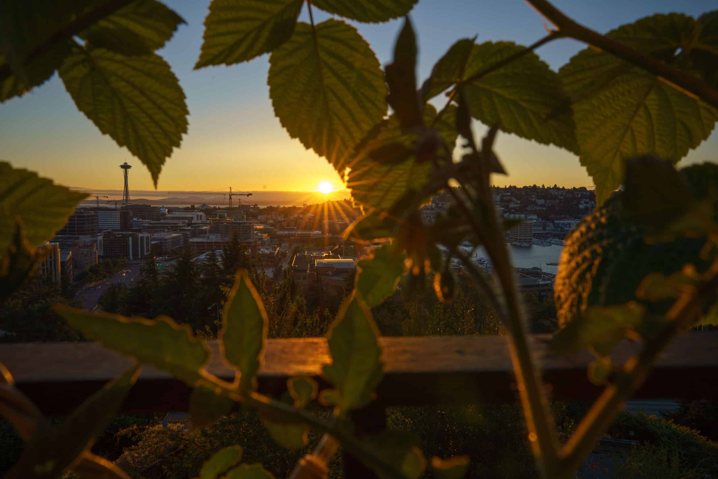 Sony 24mm F1.4 G Master9 1