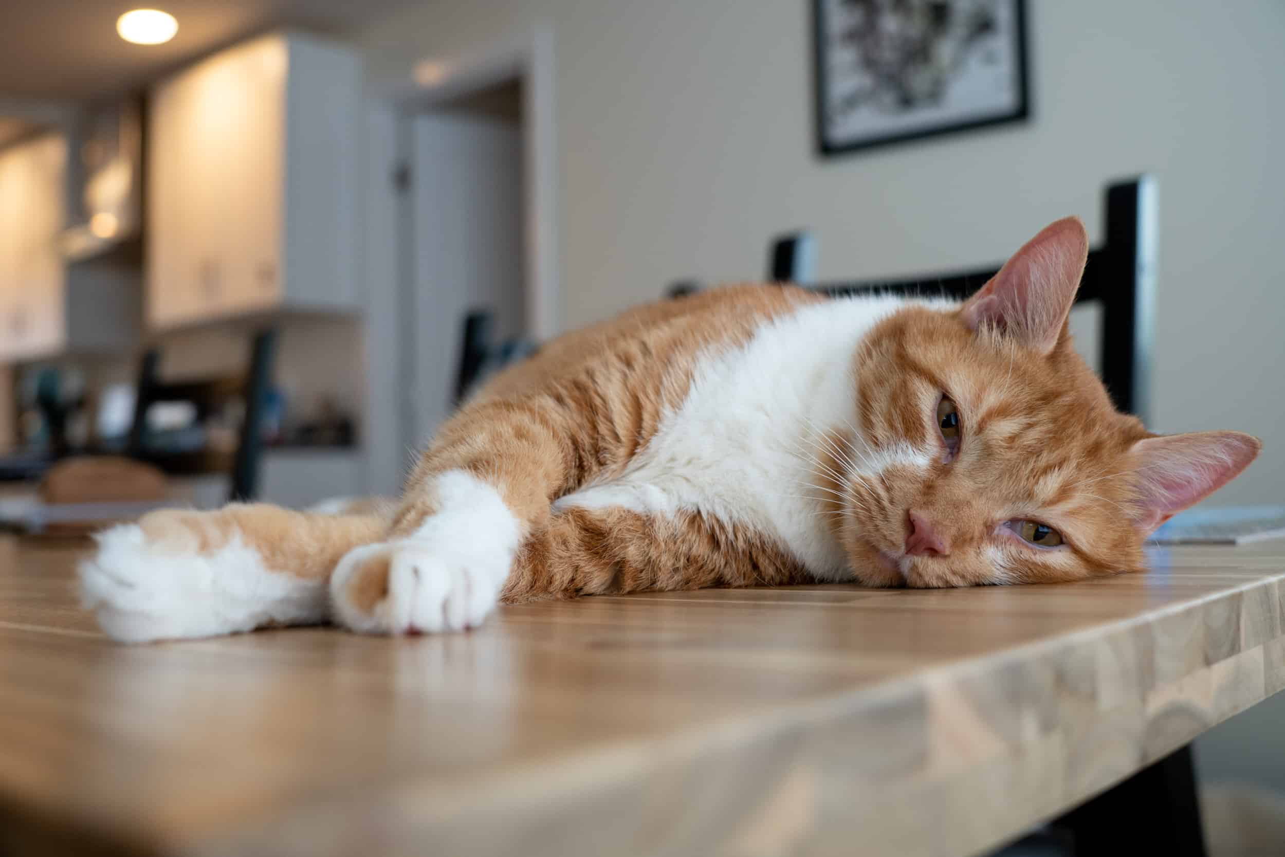 Sony E 16 55mm F2.8 G05