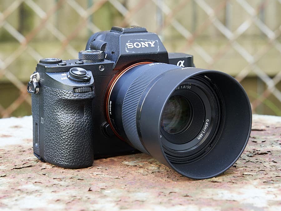 Sony FE 50mm F1.8 08