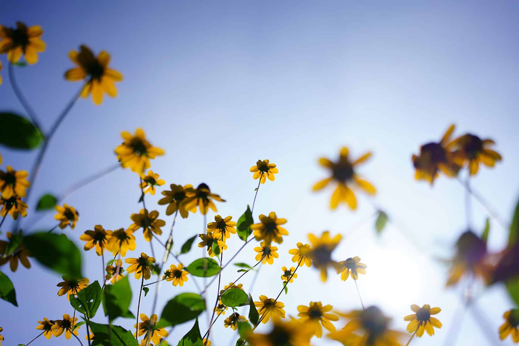 Tamron AF 35mm F2.8 Di III OSD Sample 03 1