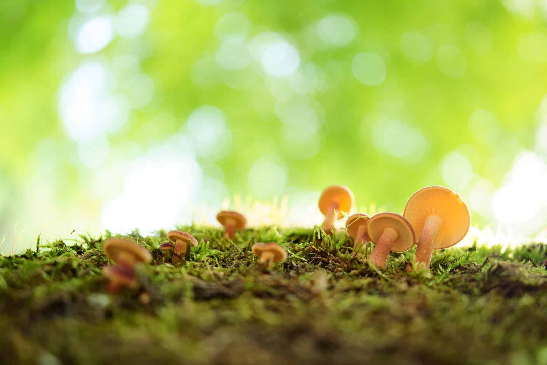 Tamron AF 35mm F2.8 Di III OSD Sample 1