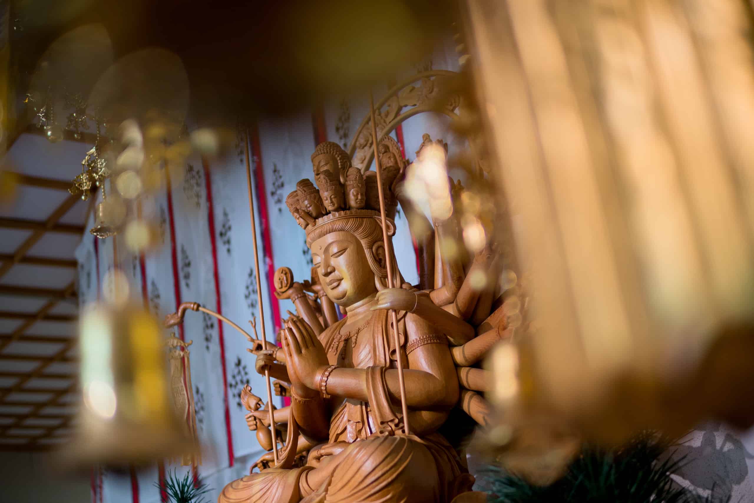 sigma 30mm F1 4 DC DN C sample4