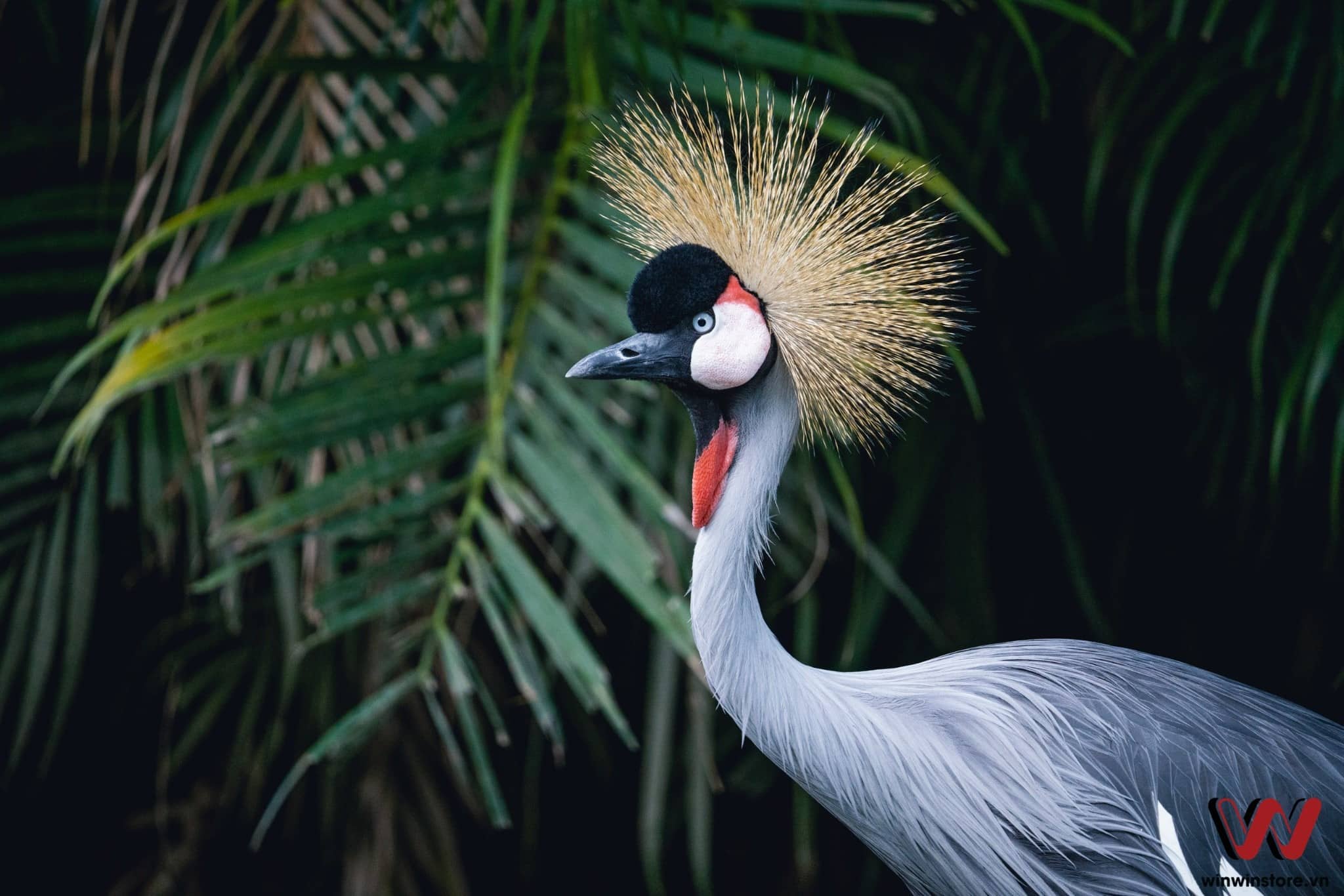 sigma 100 400mm sony a7 iii 00 3