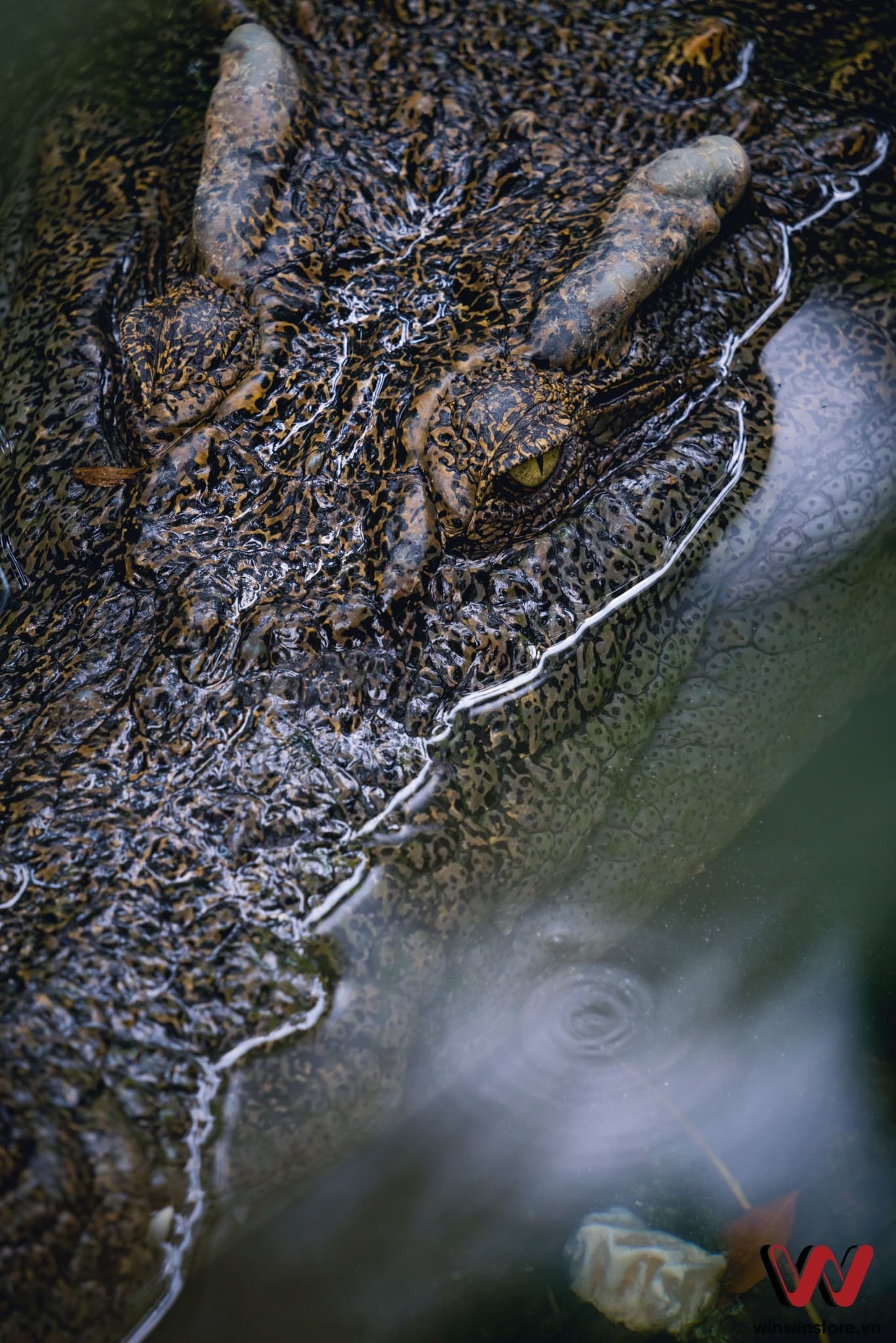 sigma 100 400mm sony a7 iii 00 6