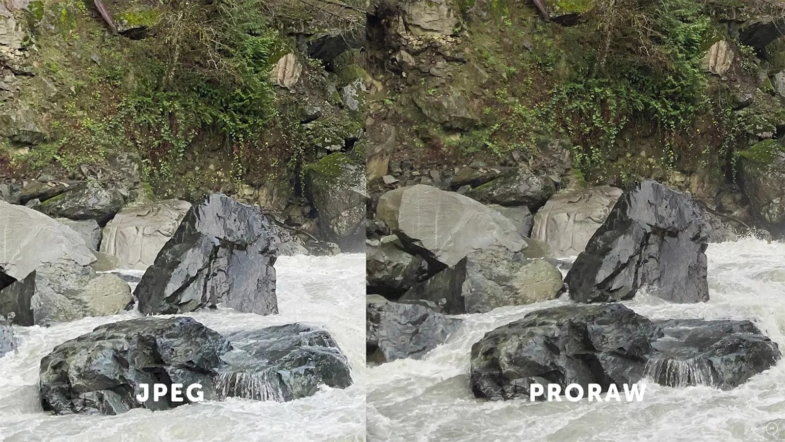 proraw vs jpeg image comparison 2