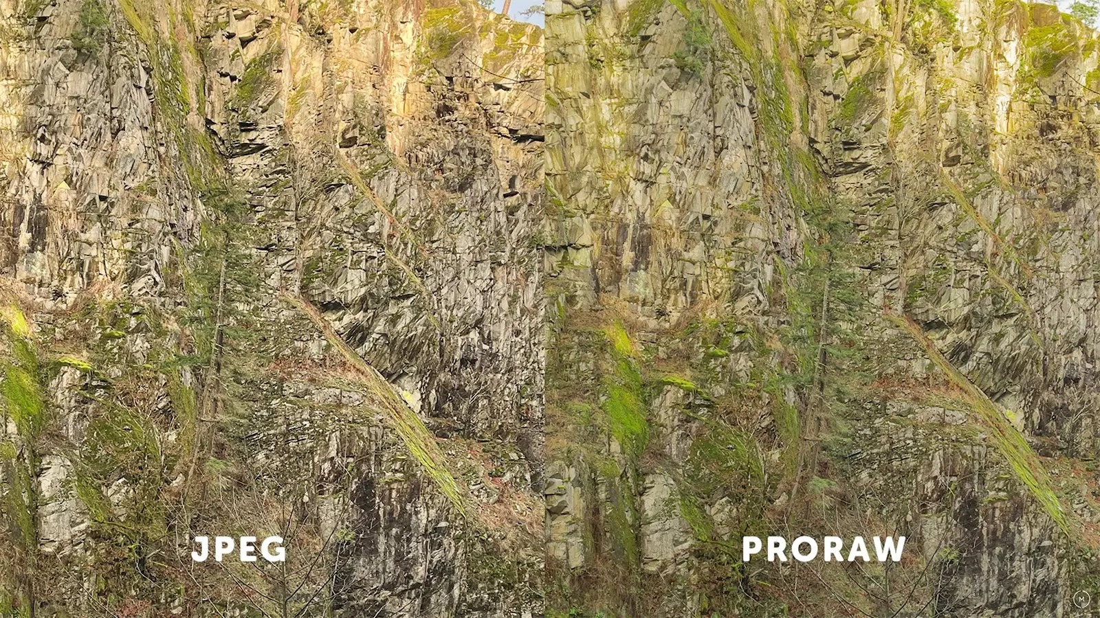 So sánh ProRAW với JPEG, khác nhau như thế nào?