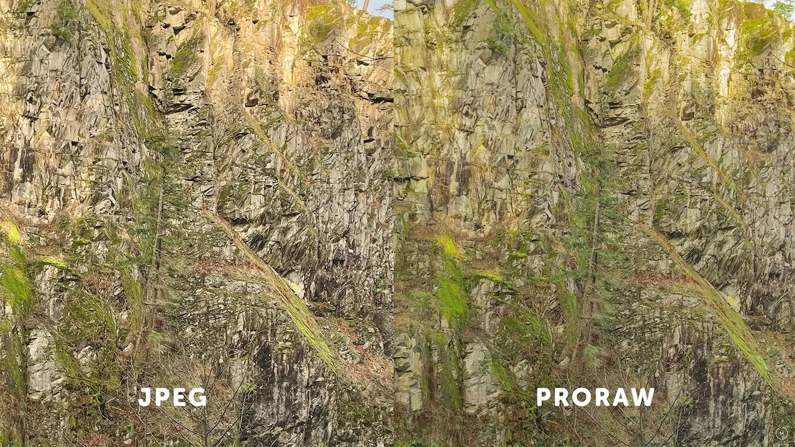 proraw vs jpeg image one compari