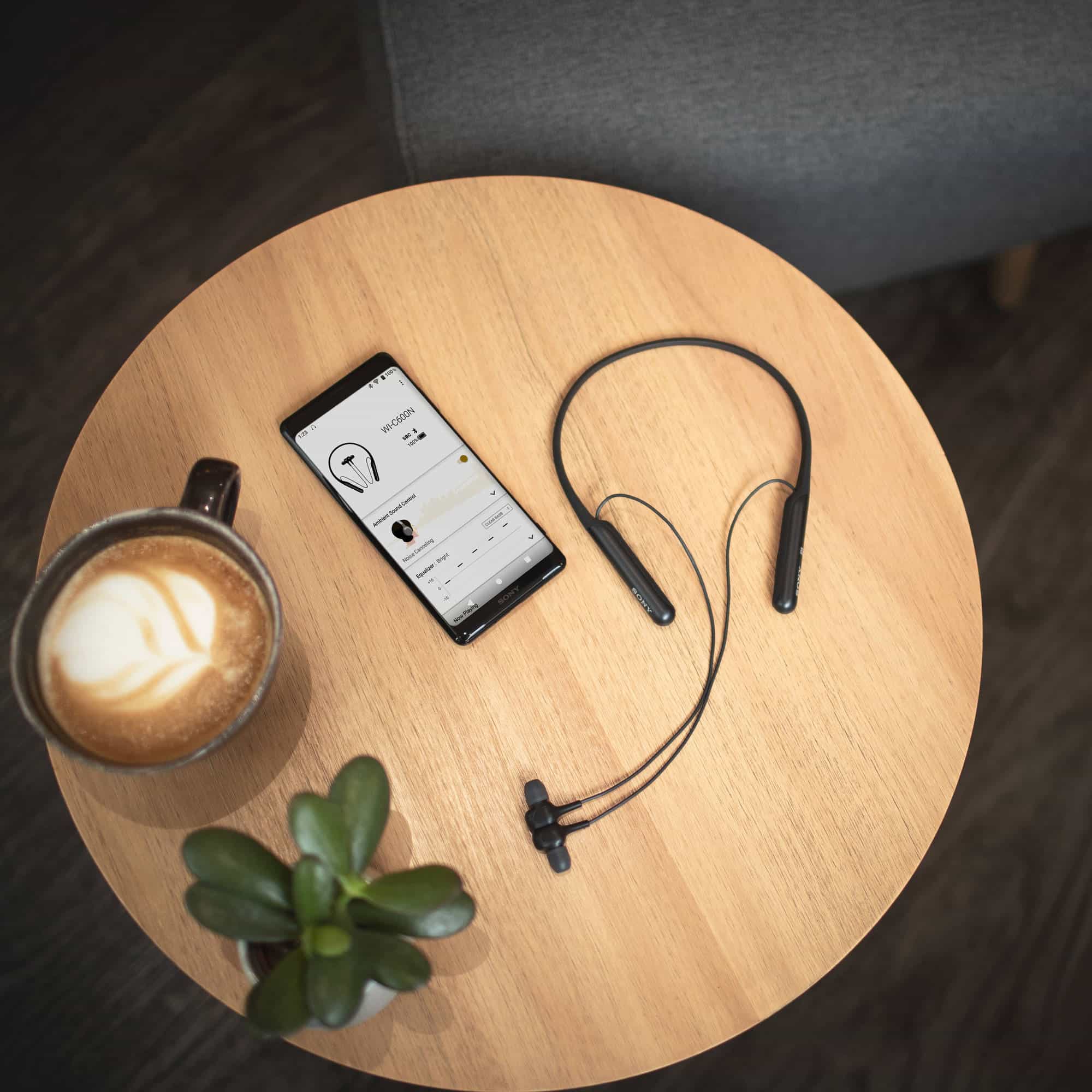 Sony wi 2025 c600