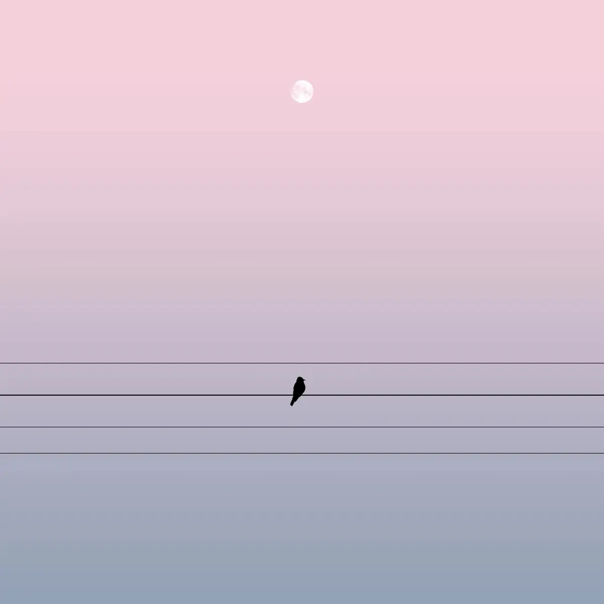 Minimalist Graphics 01.jpg