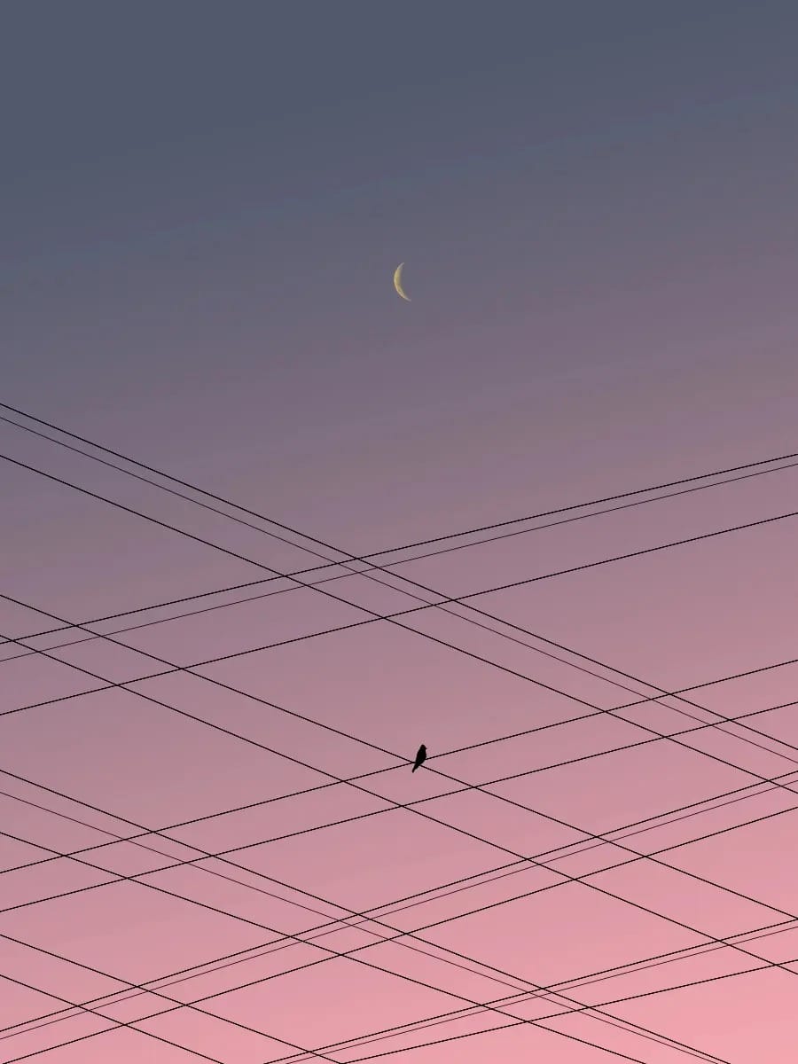 Minimalist Graphics 08.jpg
