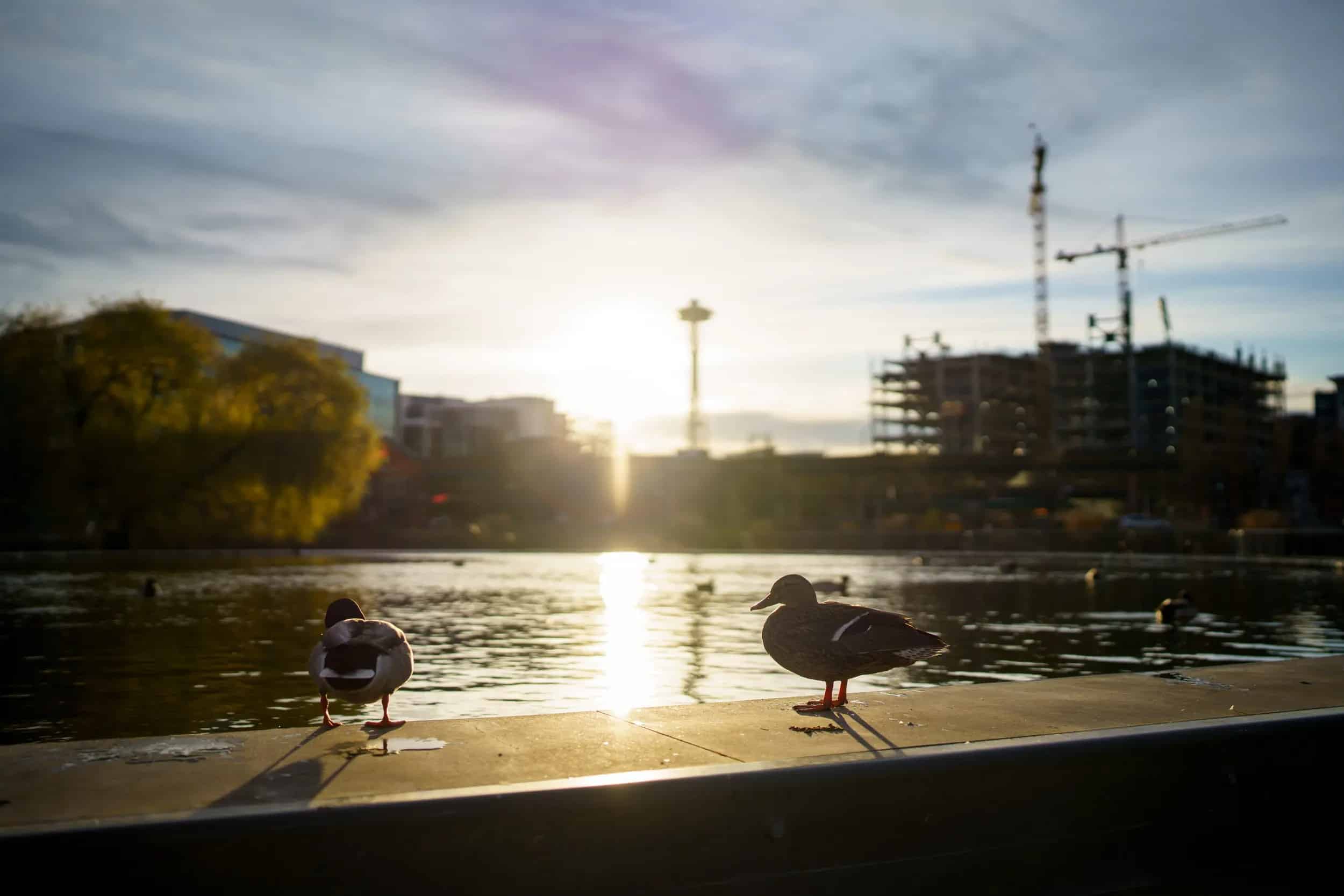 Sony FE 35mm F1.4 GM 05.jpg