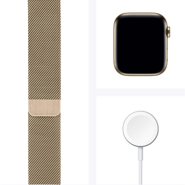 Apple Watch Series 6 44mm (4G) - Viền thép dây thép (Gold)