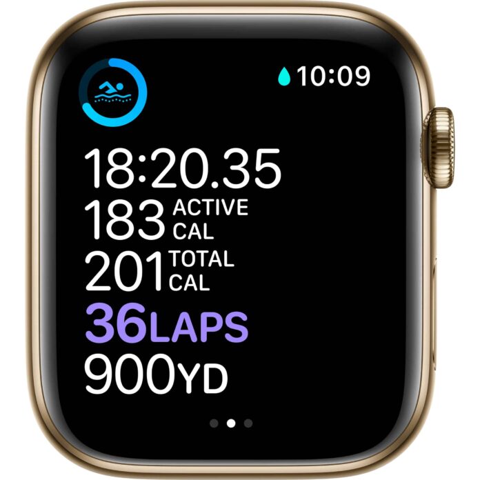 Apple Watch Series 6 44mm (4G) - Viền thép dây thép (Gold)