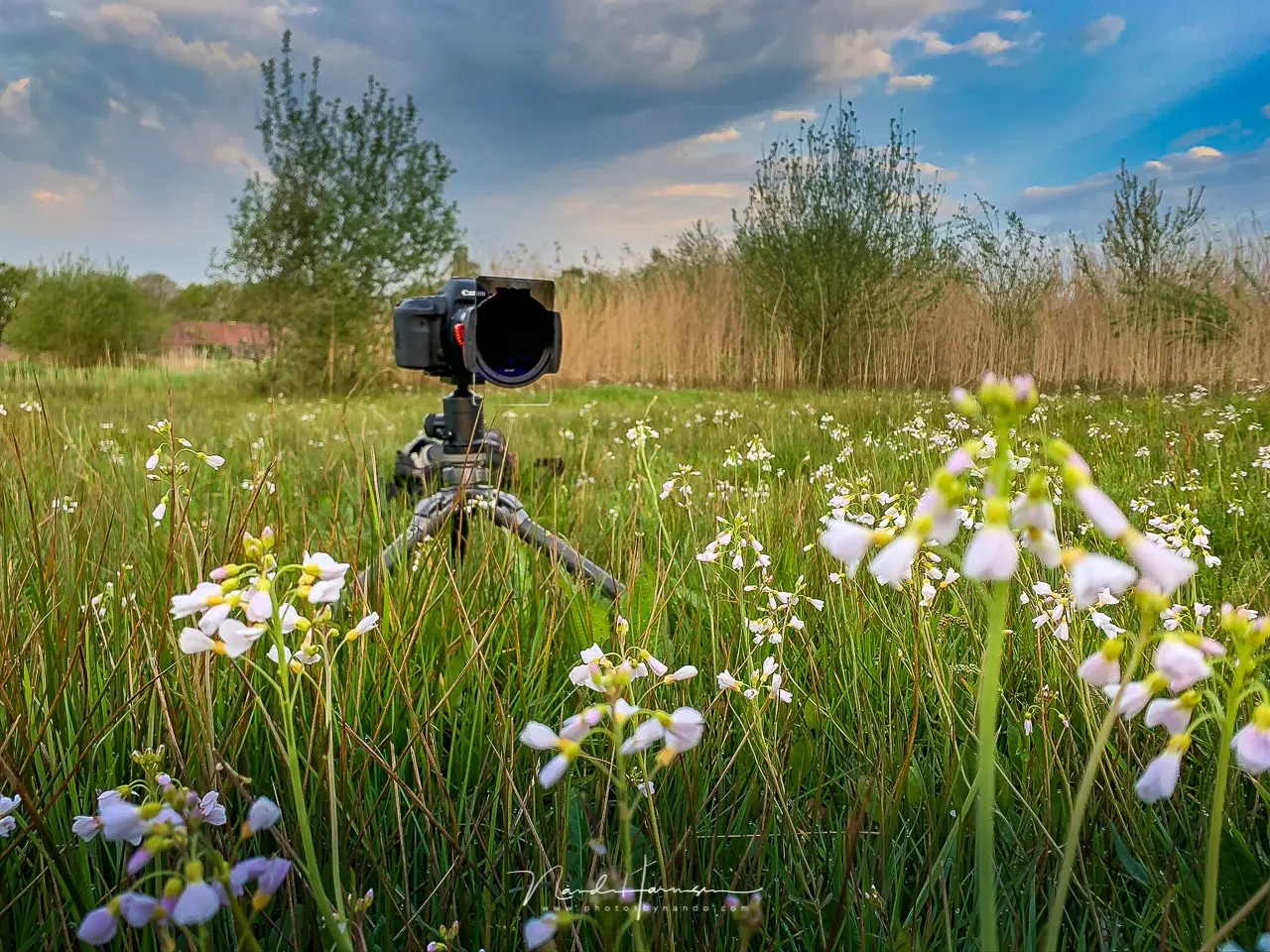 Dynamic Range có quan trọng trong nhiếp ảnh phong cảnh?