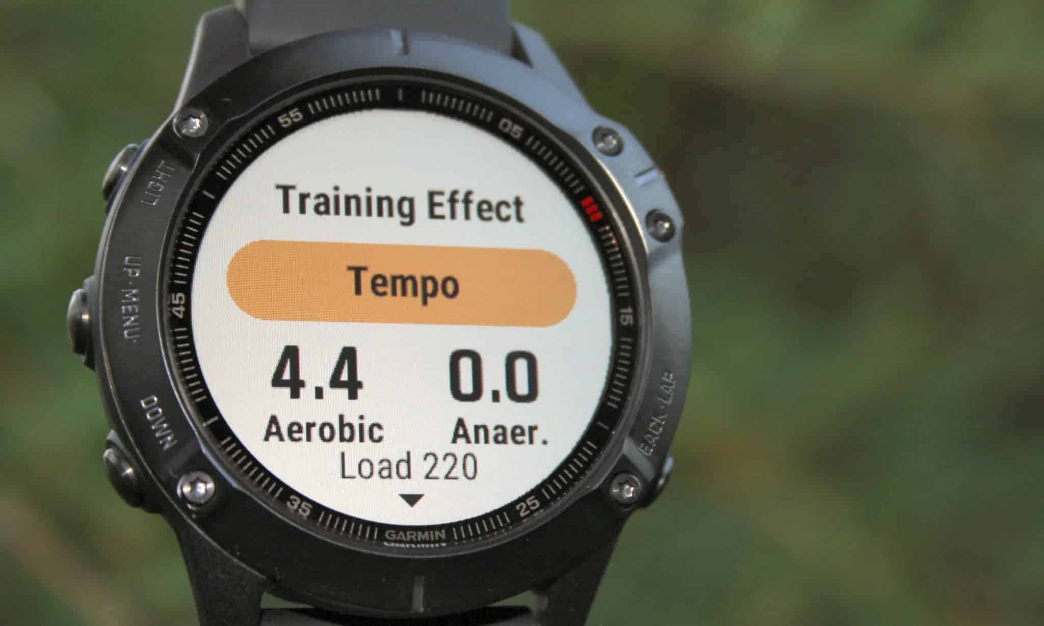 Đồng hồ Garmin fenix 6 (47mm, Silver/Black Band)