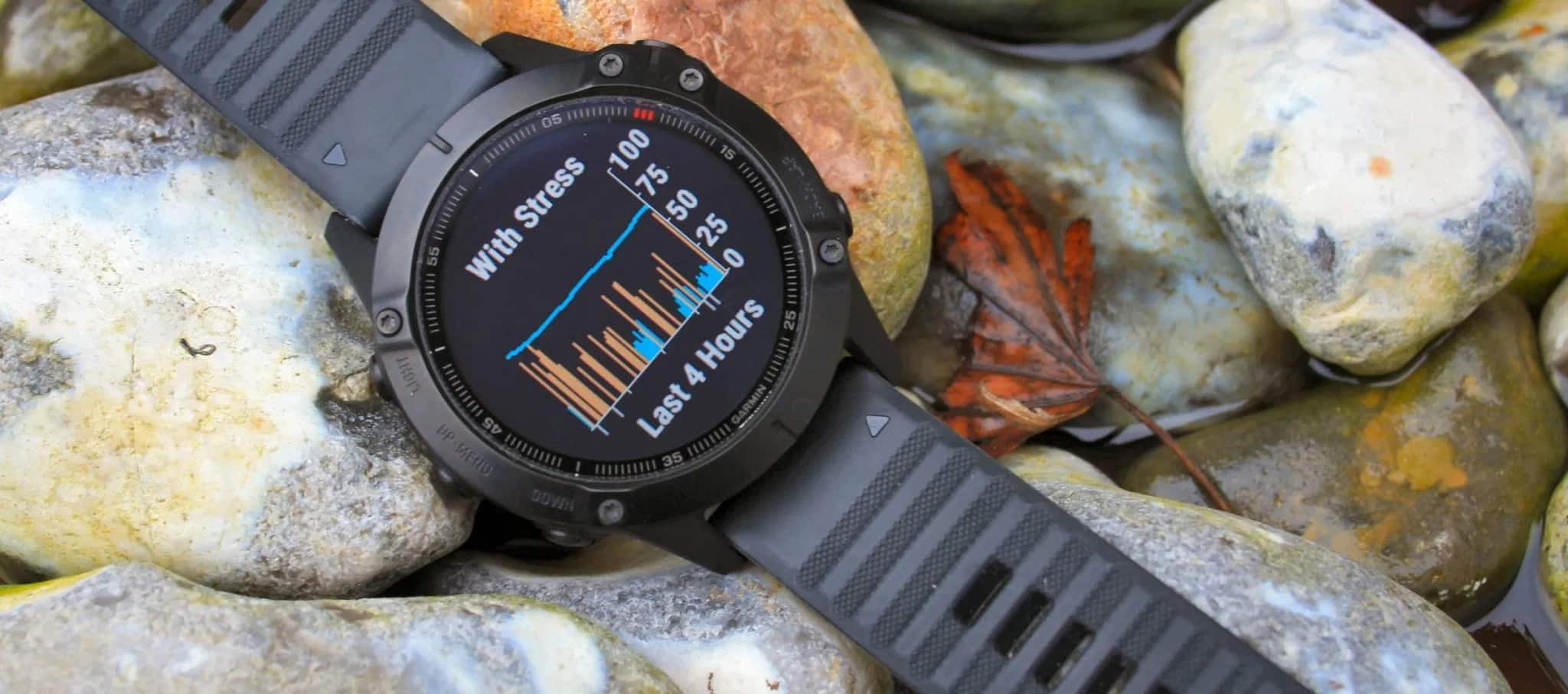 Garmin fenix 6 08
