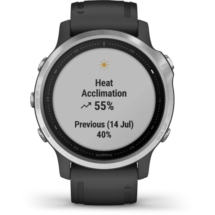 Đồng hồ Garmin fenix 6S (42mm, Silver/Black Band)