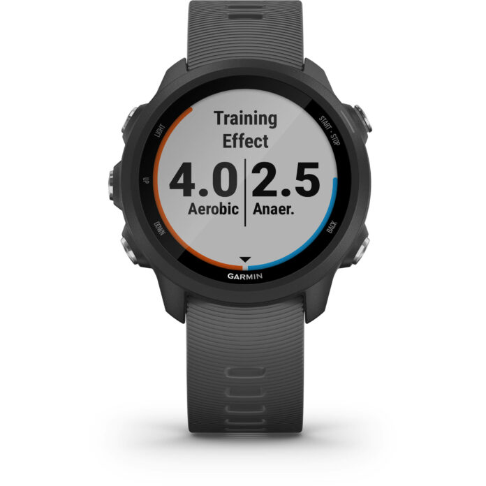 Đồng hồ Garmin Forerunner 245 (Slate Gray)