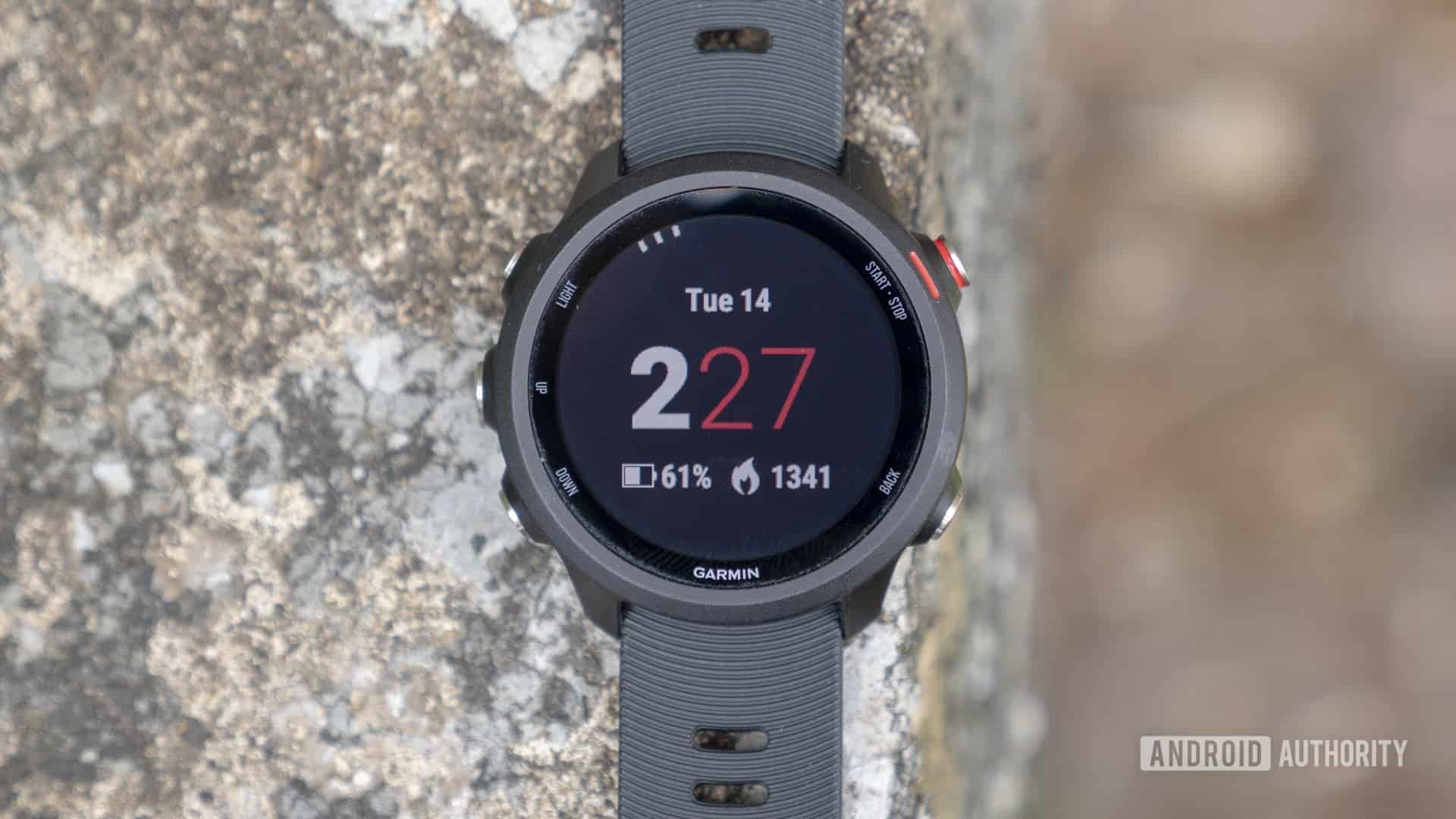 garmin forerunner 245 music03