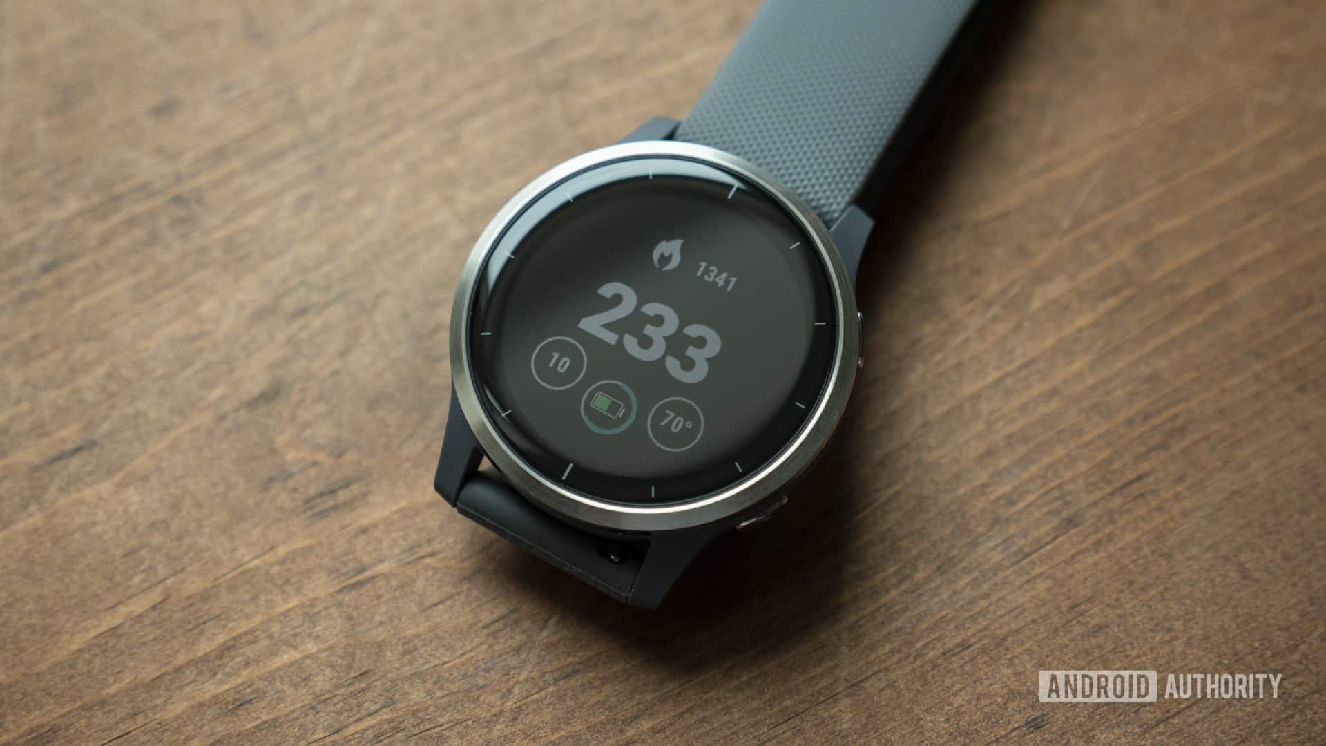 garmin vivoactive 4 04