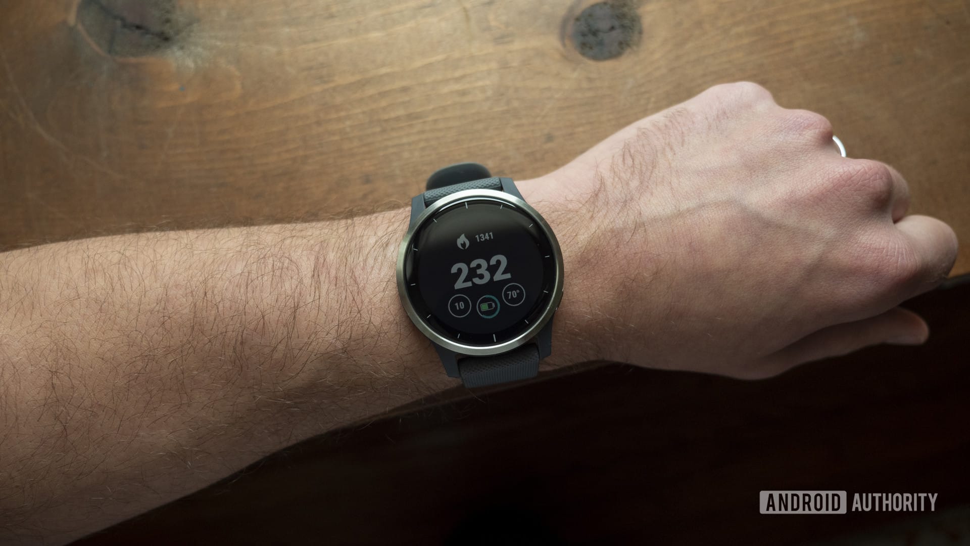 garmin vivoactive 4