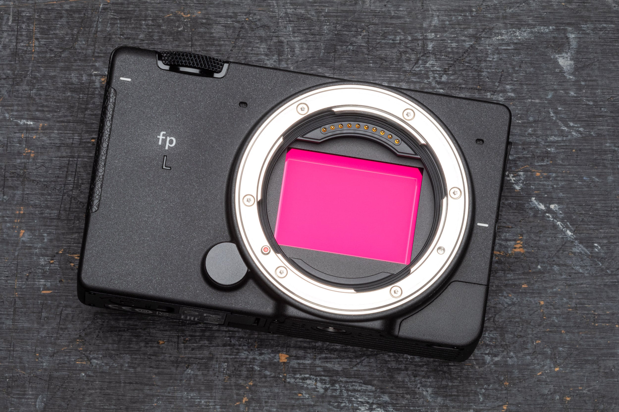 Sigma fp L