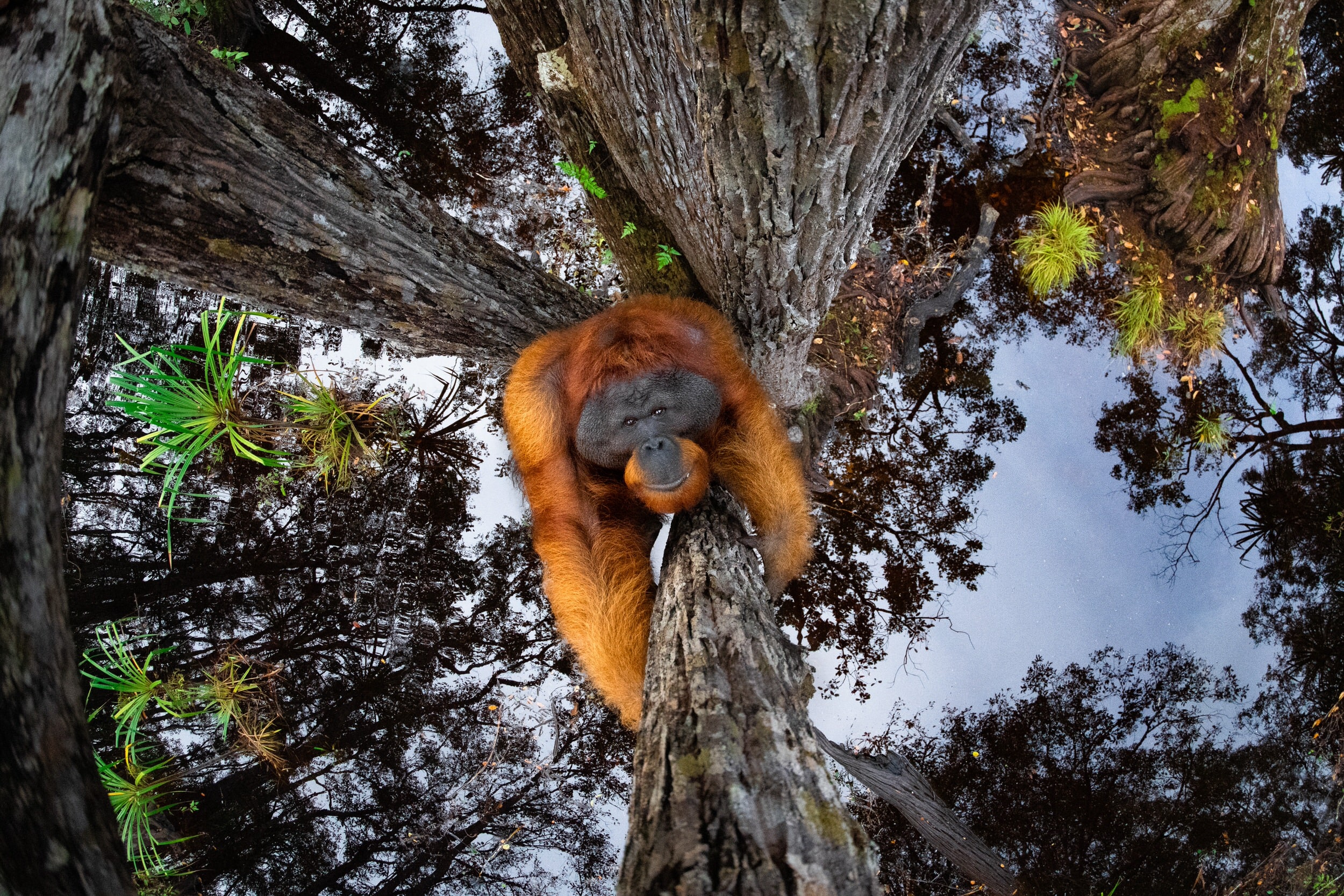 World Nature Photography Awards01