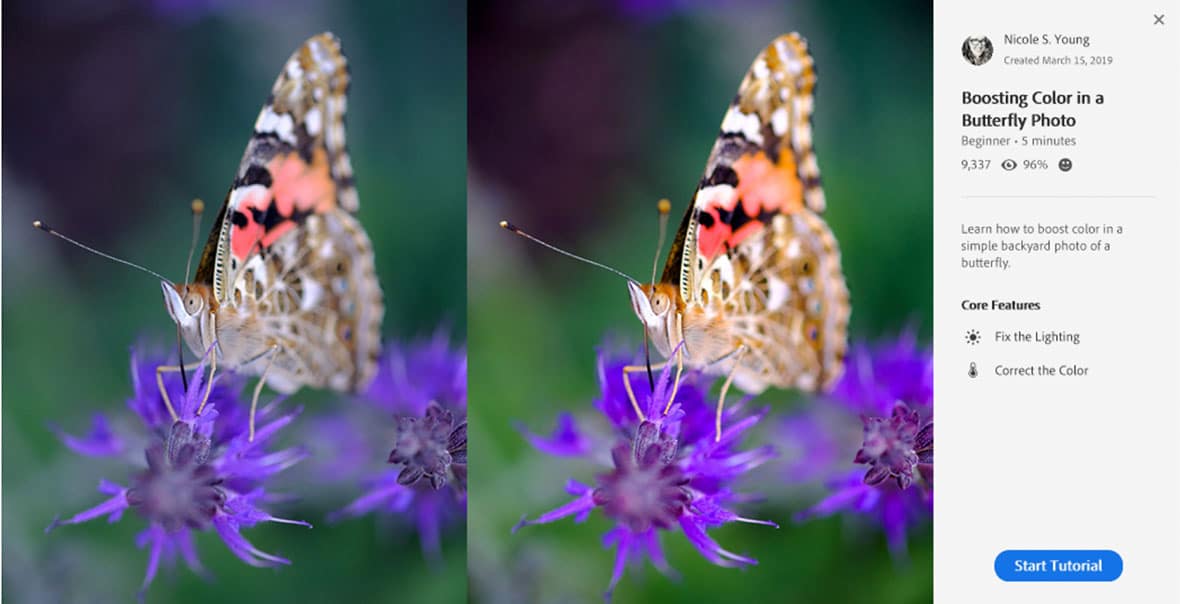 lightroom march update for you