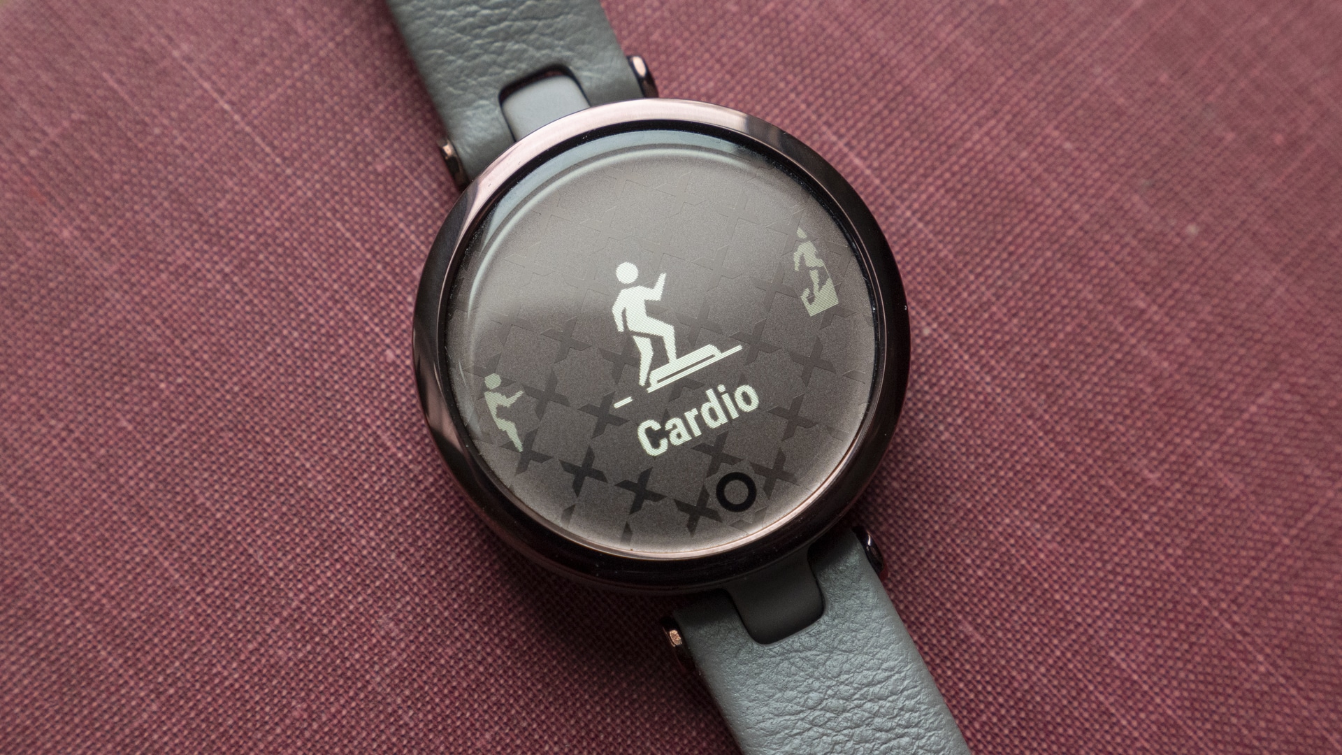 Garmin Lily6