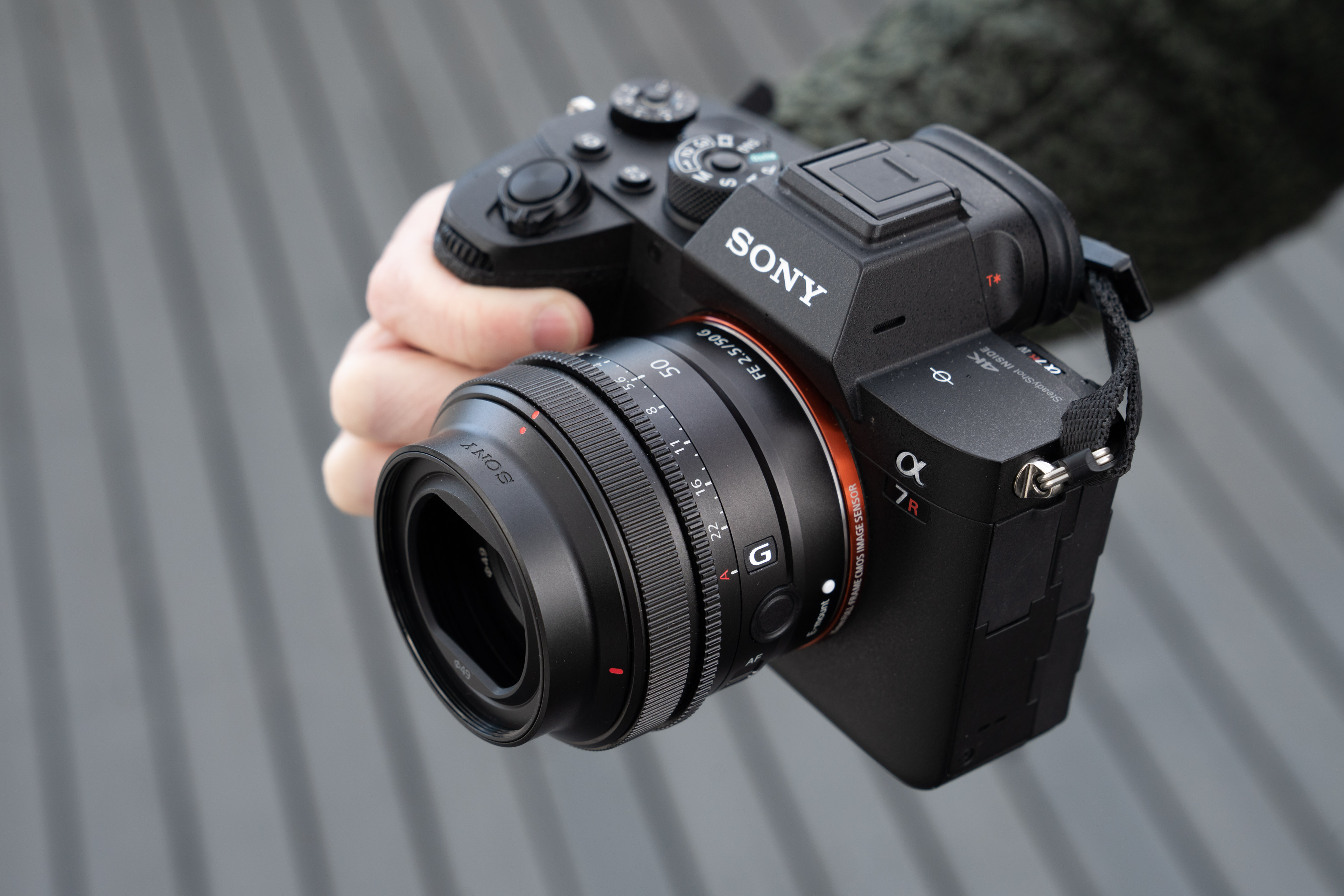 Sony FE50mm F2p5 G on a7RIV