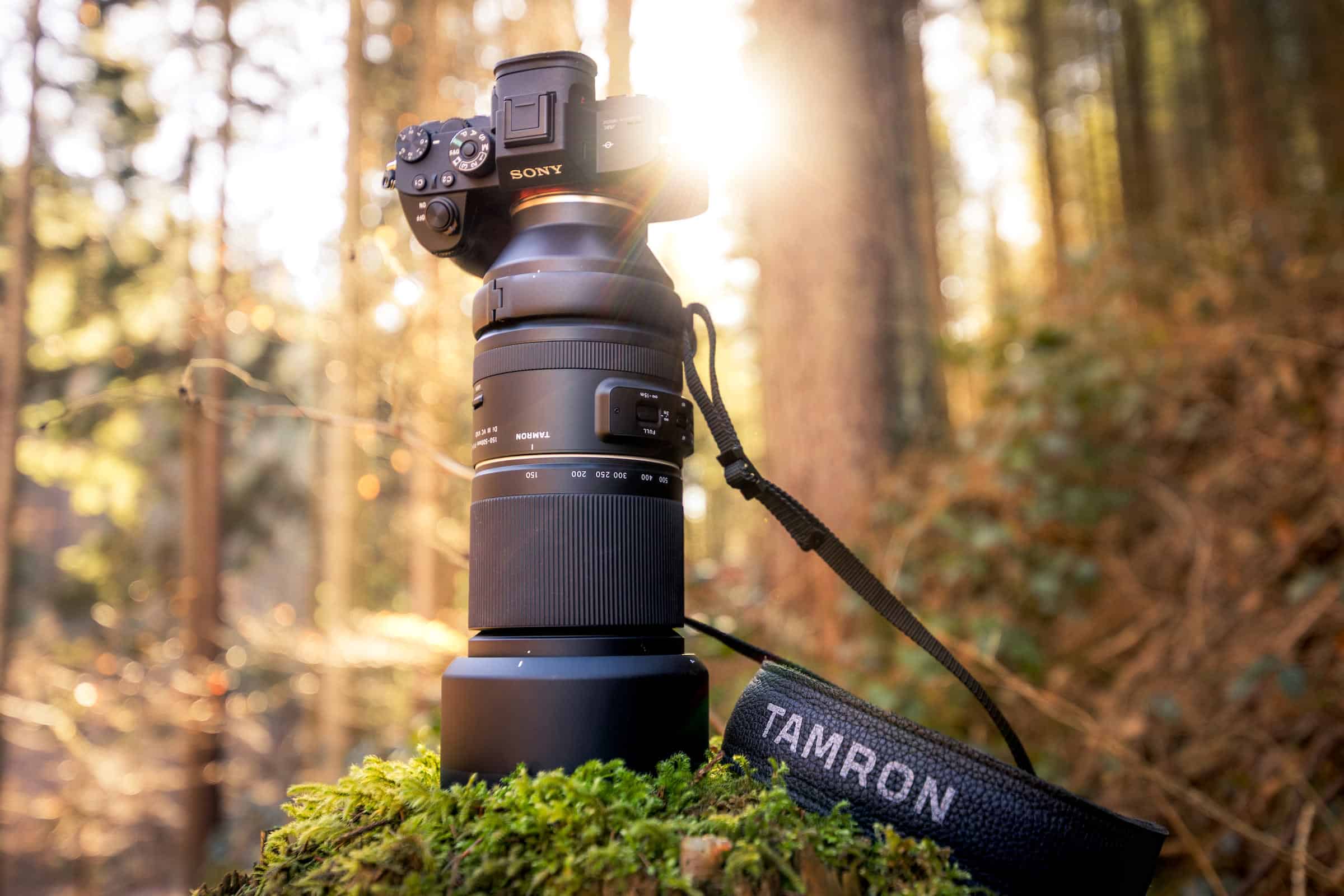 Tamron 150–500mm F5–6.7 Di III VC VXD3
