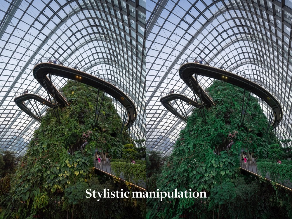 stylistic manipulation
