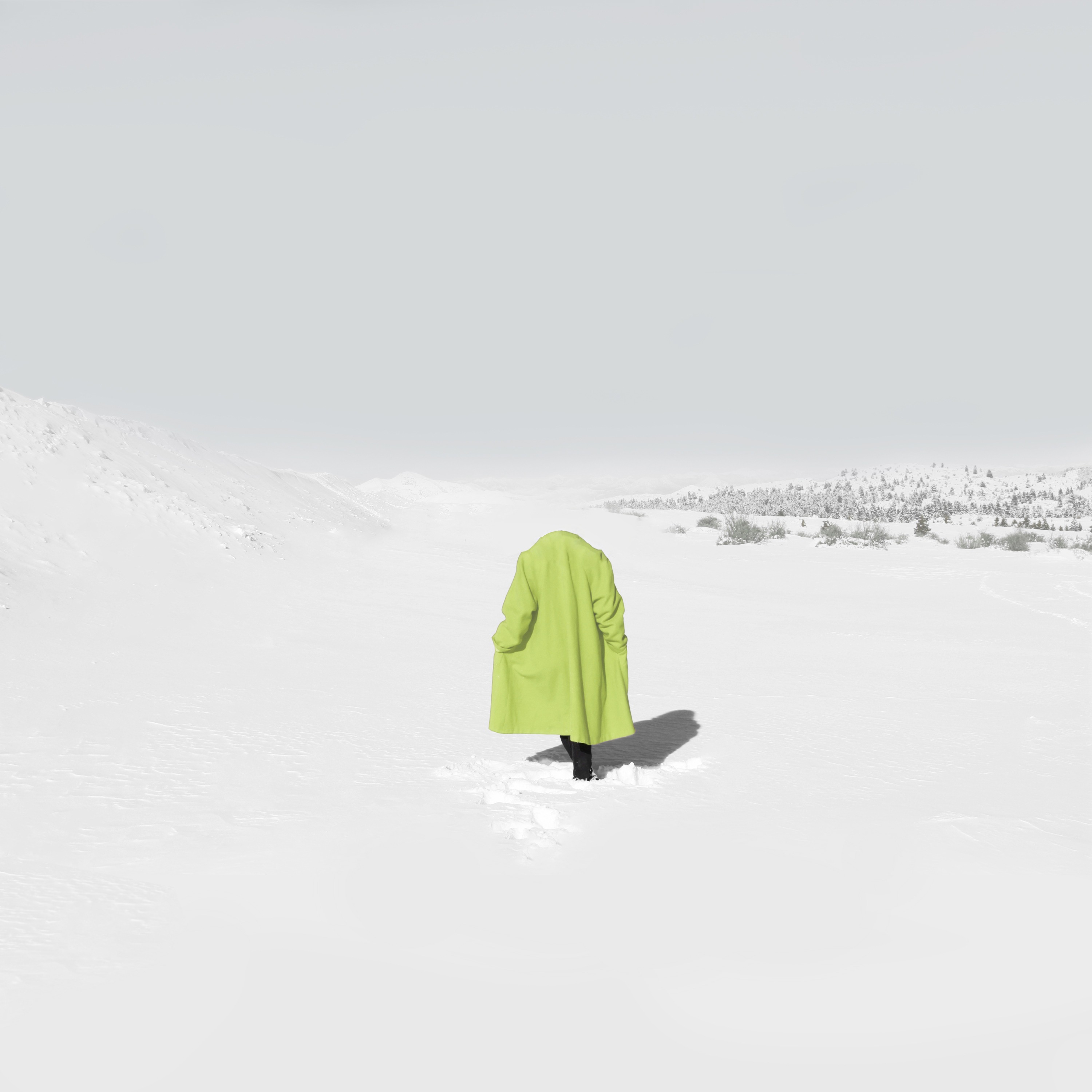 NeonSnow