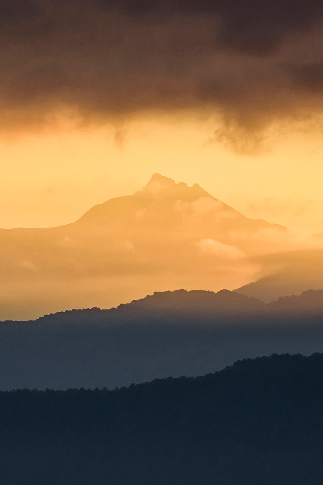 golden hour10