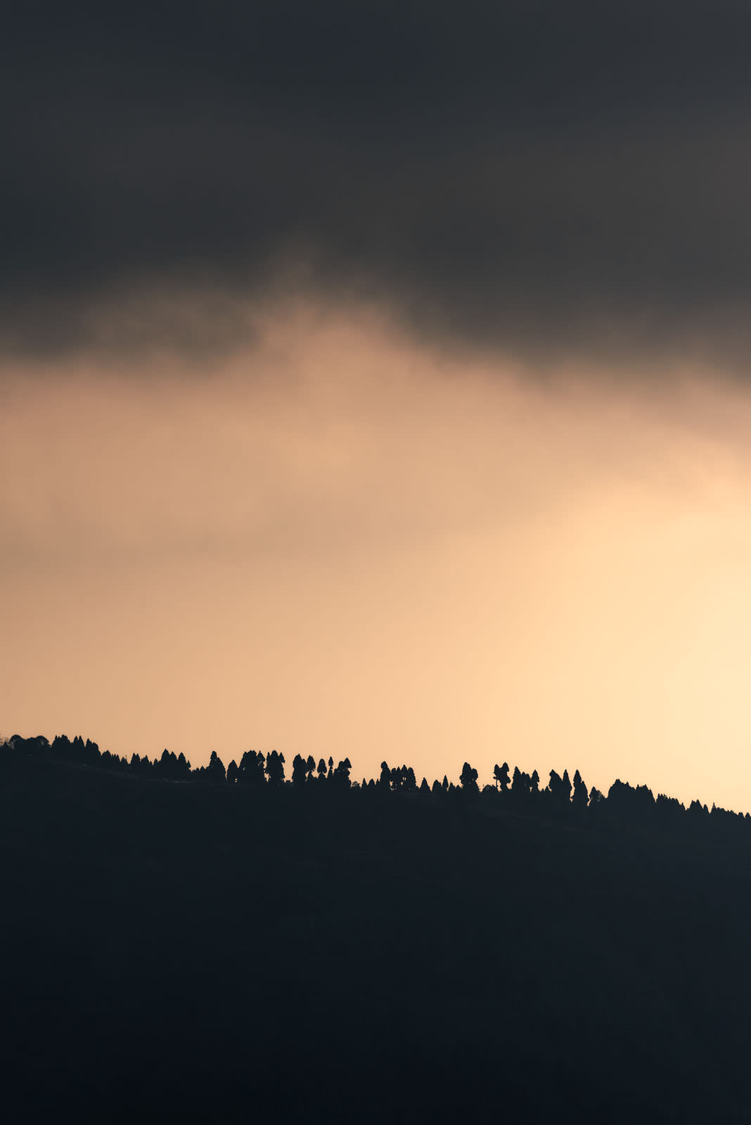 golden hour7