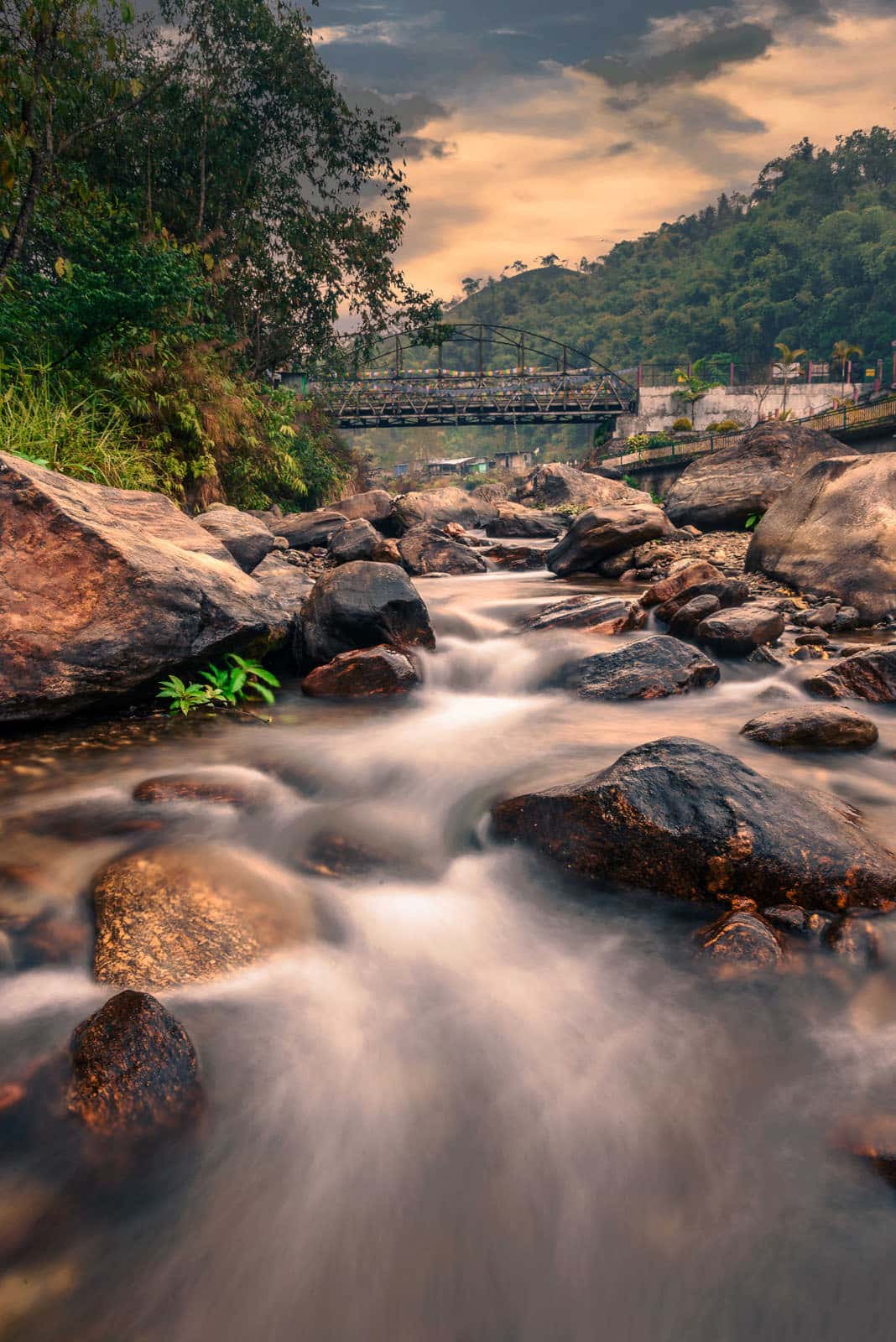 meo bo cuc chup anh phong canh3