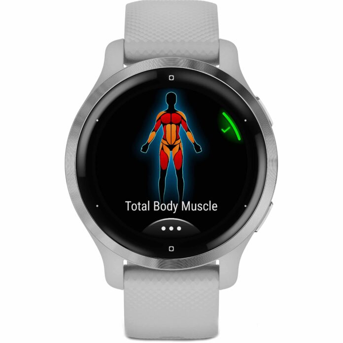 Đồng hồ Garmin Venu 2S (Silver & Mist Gray)