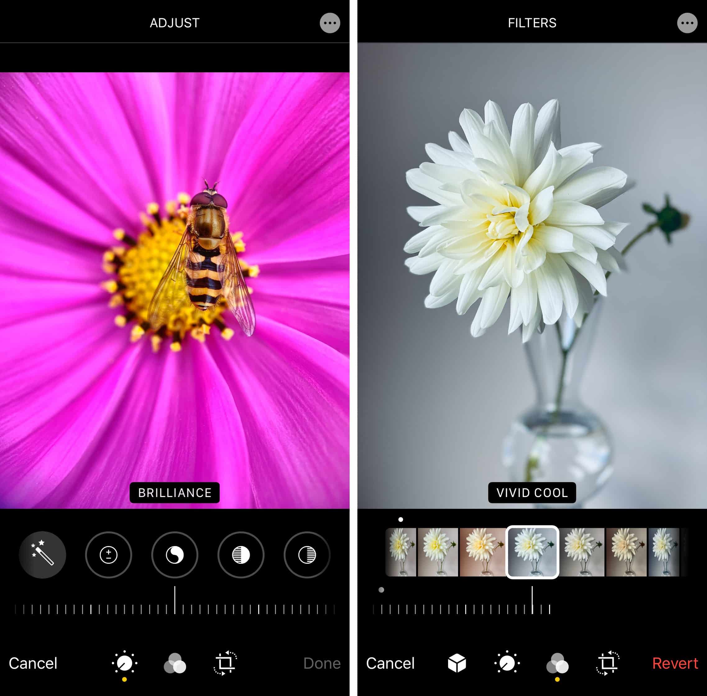 photo ios app