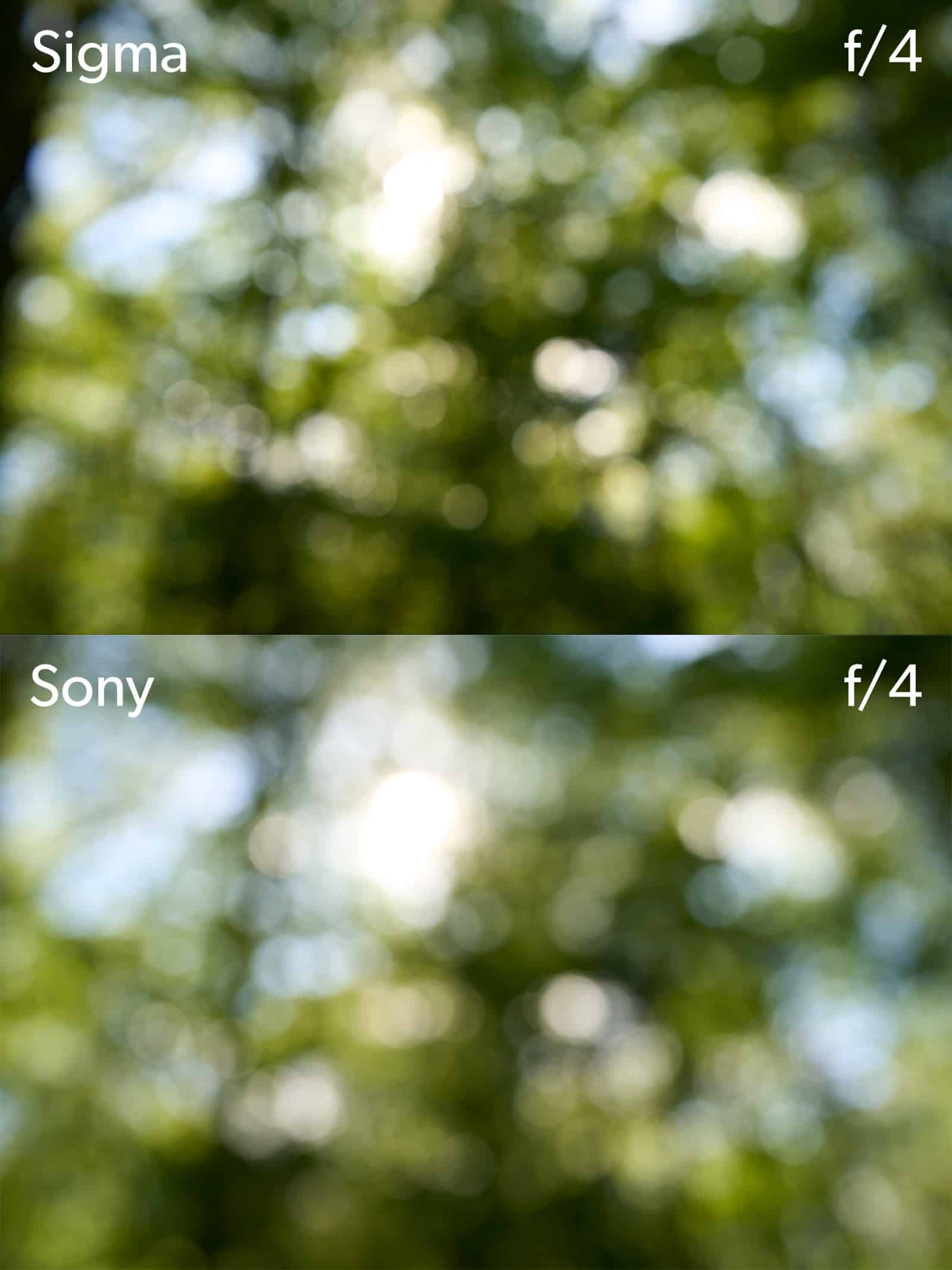 Sigma so sánh với Sony: Đâu là ống 35mm F1.4 tốt nhất và đáng lựa chọn nhất?