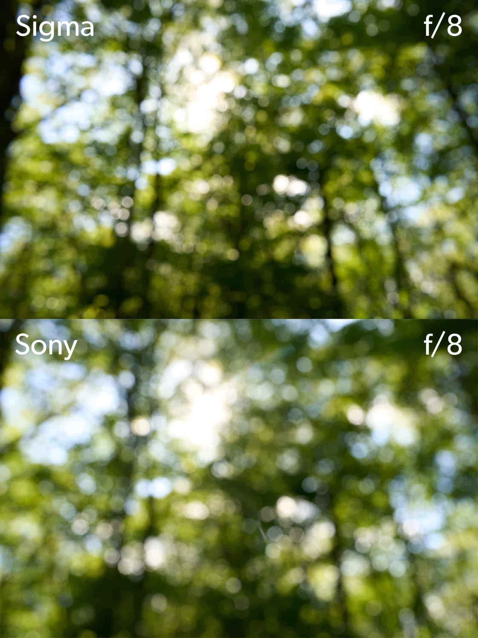 Sigma so sánh với Sony: Đâu là ống 35mm F1.4 tốt nhất và đáng lựa chọn nhất?