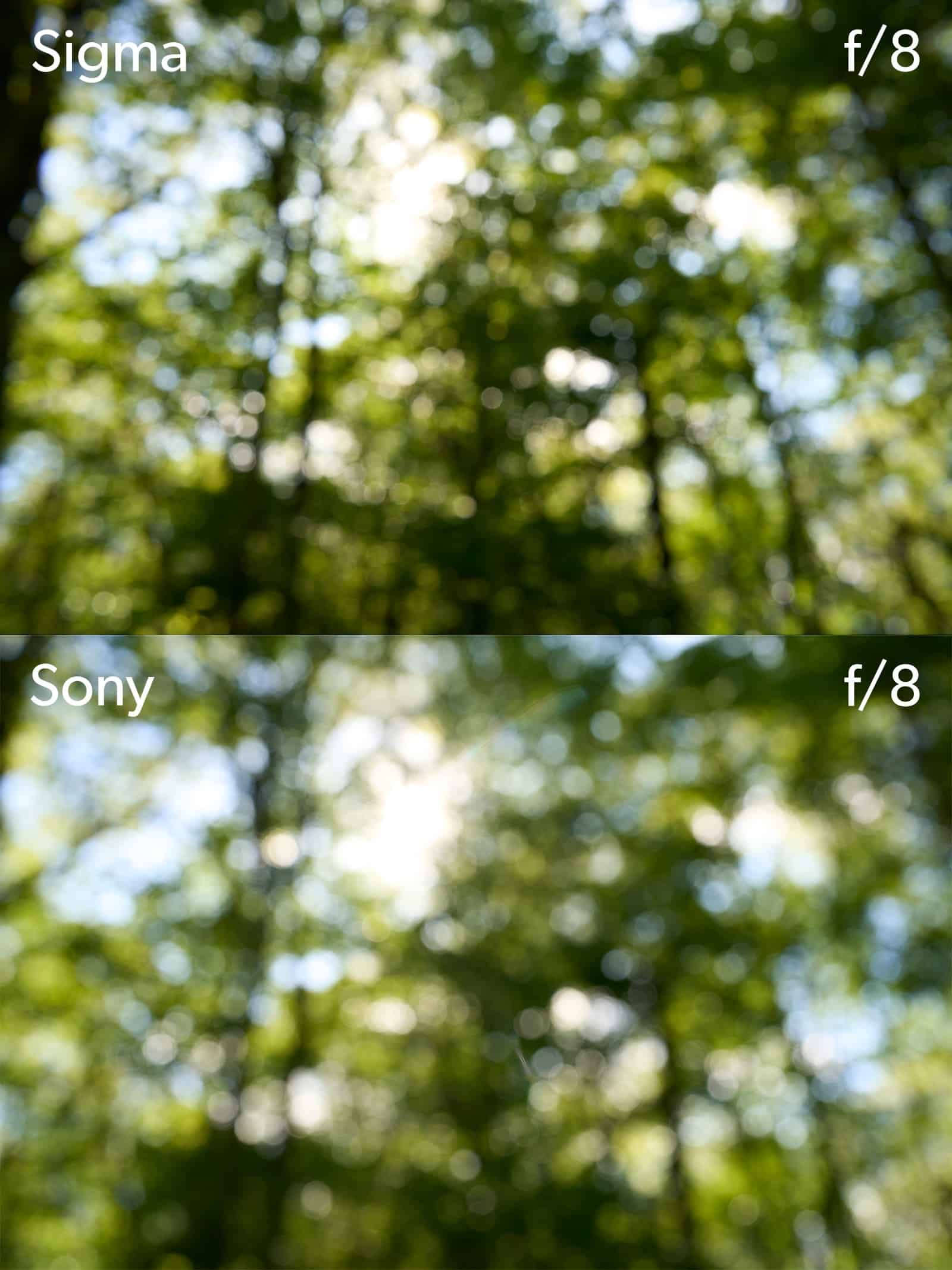 sony 35mm f1 4 so sanh sigma 35mm f1 4 dg dn art19
