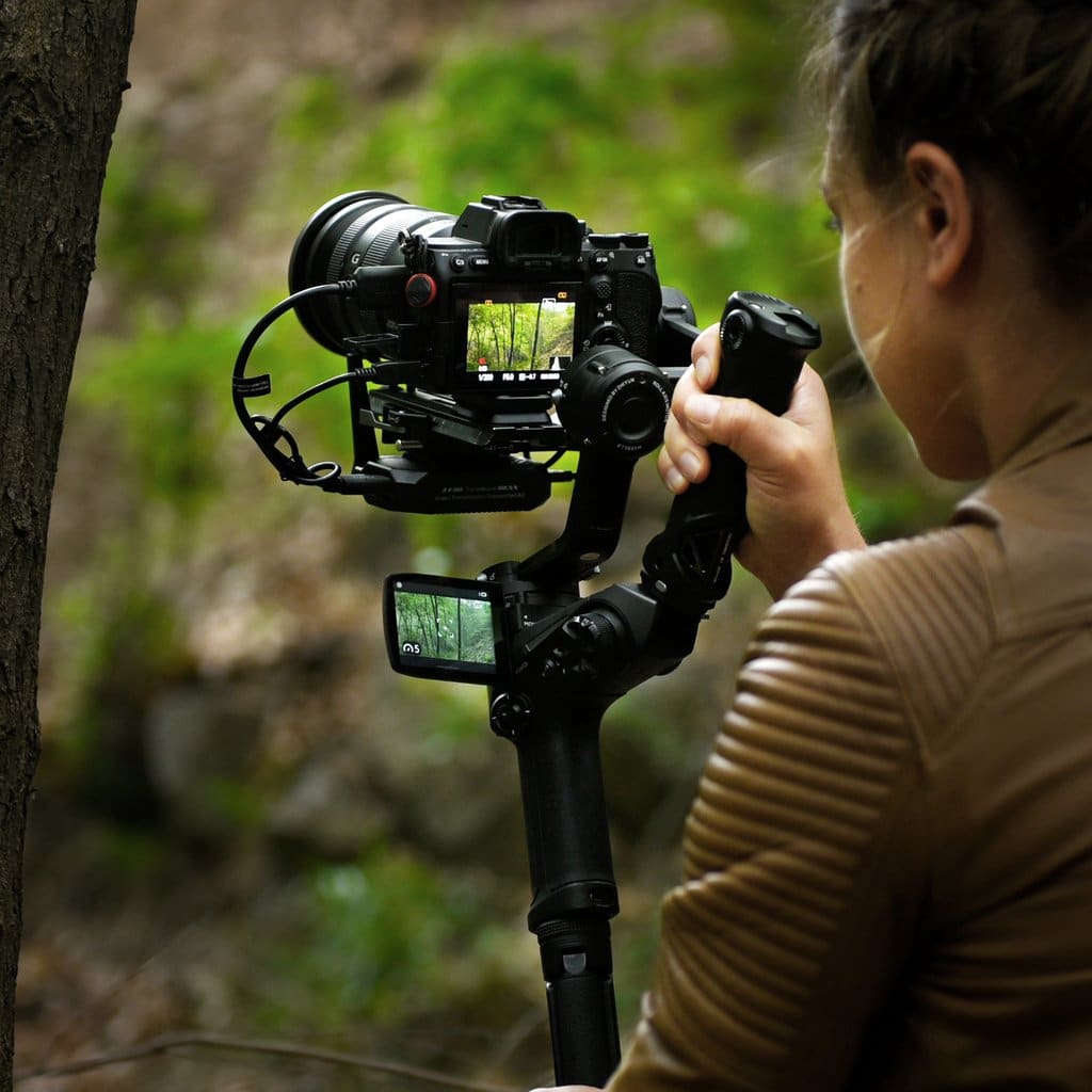 gimbal weebill 2 05