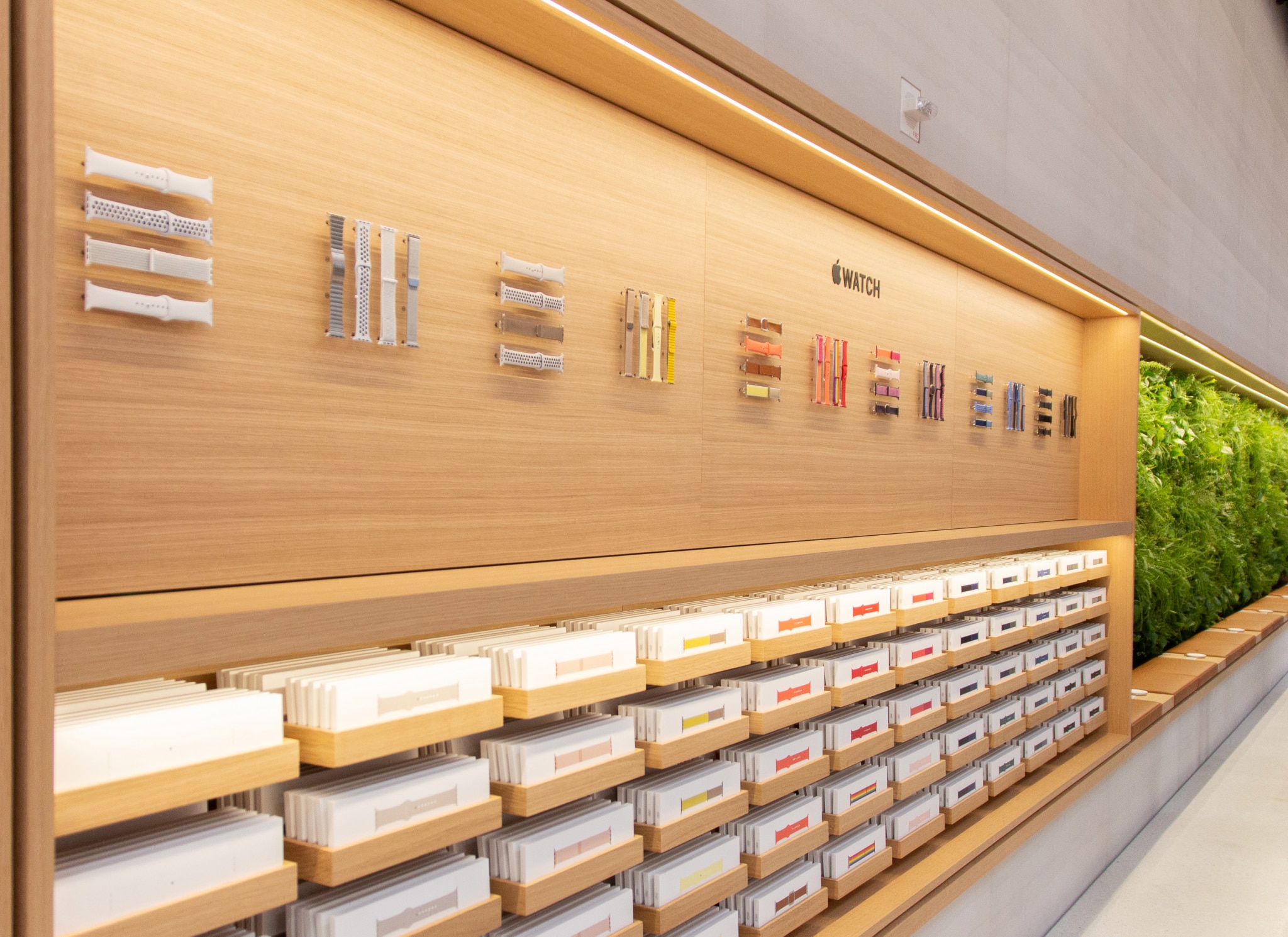 Apple Watch bands
