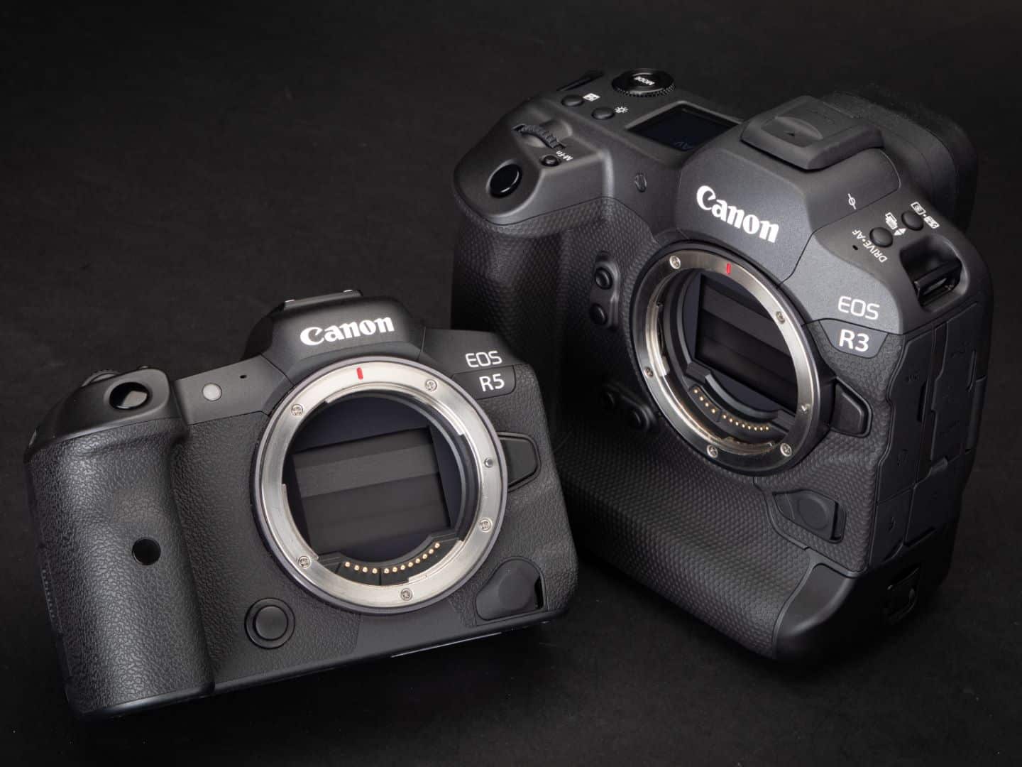 Canon EOS R3 011