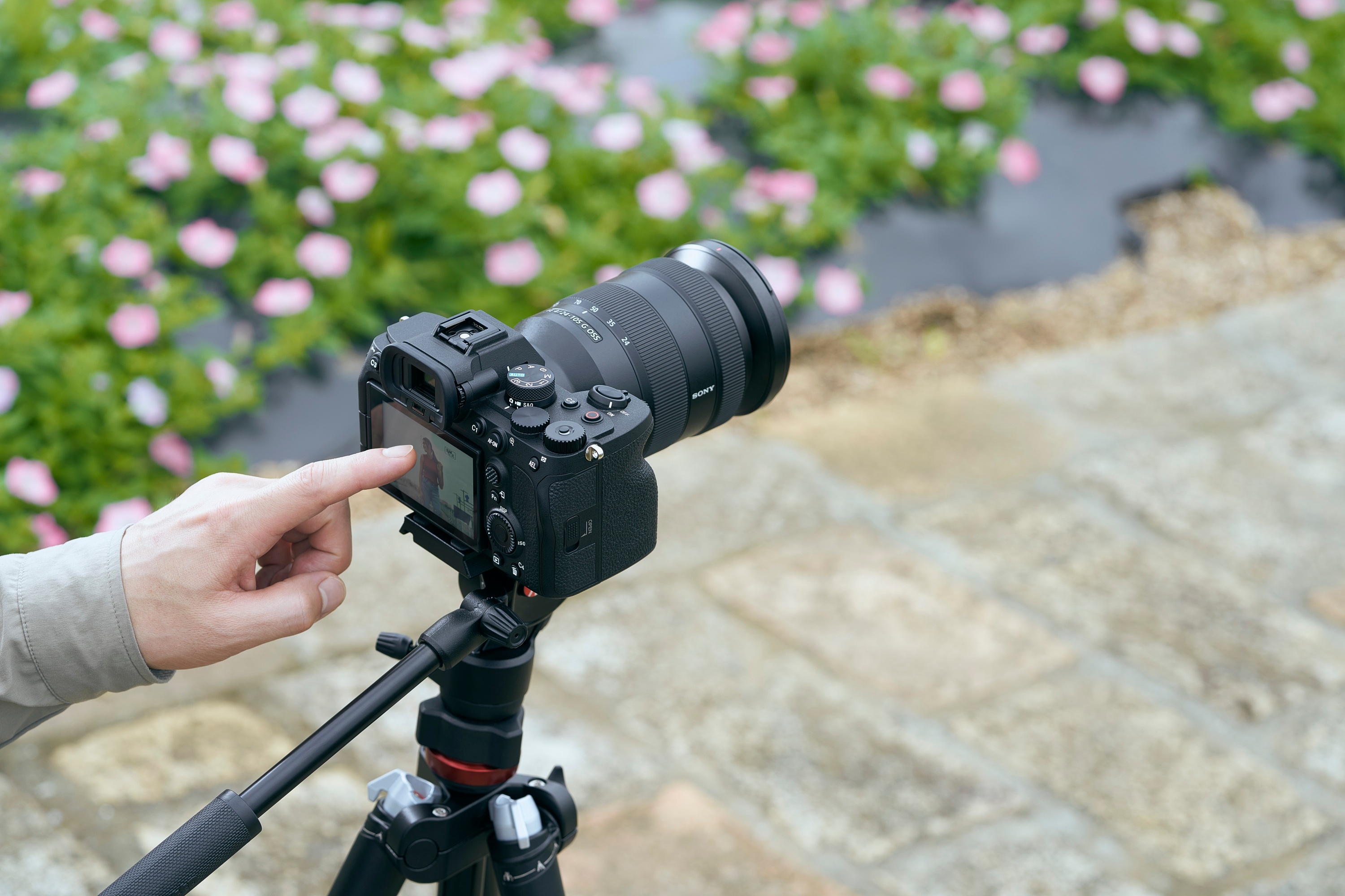 Sony Alpha A7IV 3