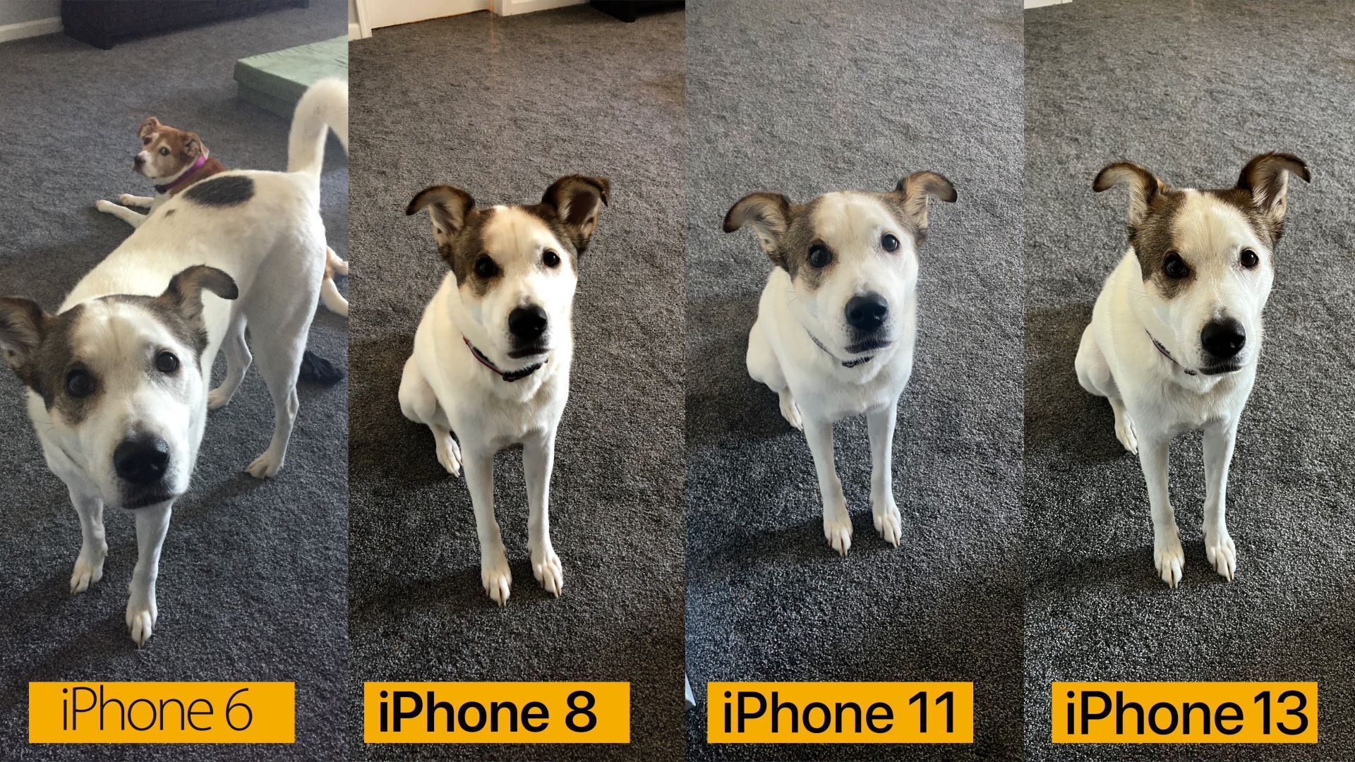 iPhone 13 camera compare10