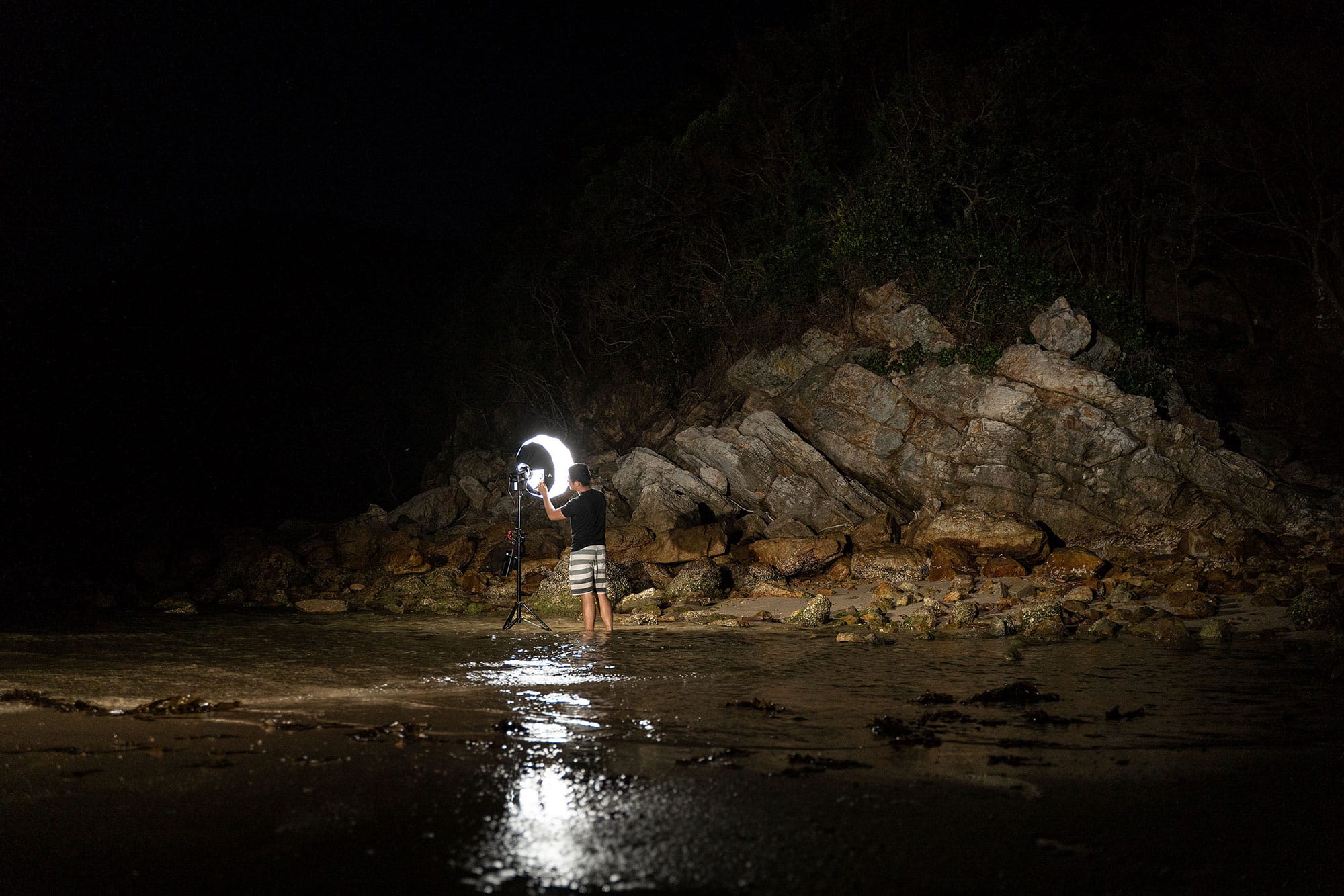 Aputure Lantern Softbox 01