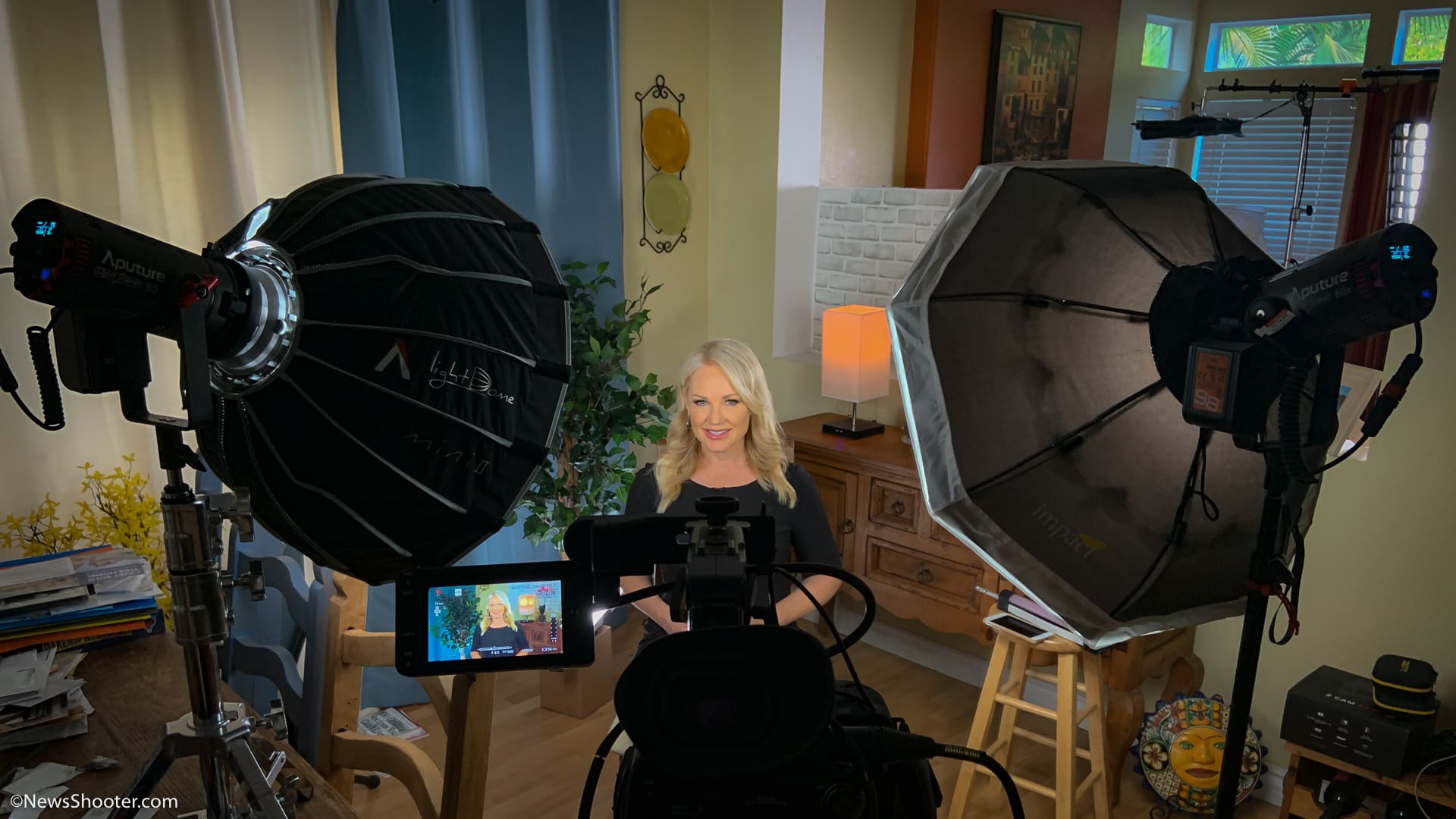 Aputure Light Storm LS 60d Daylight LED Light 09