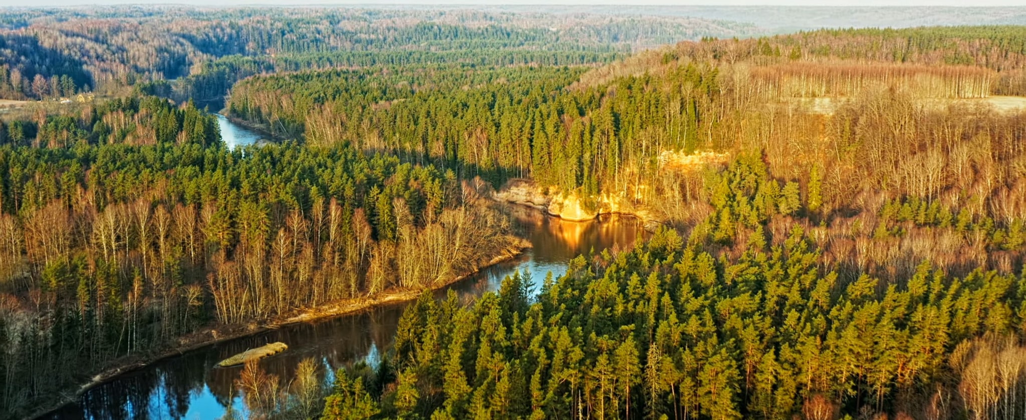 Landscapes of Change 5
